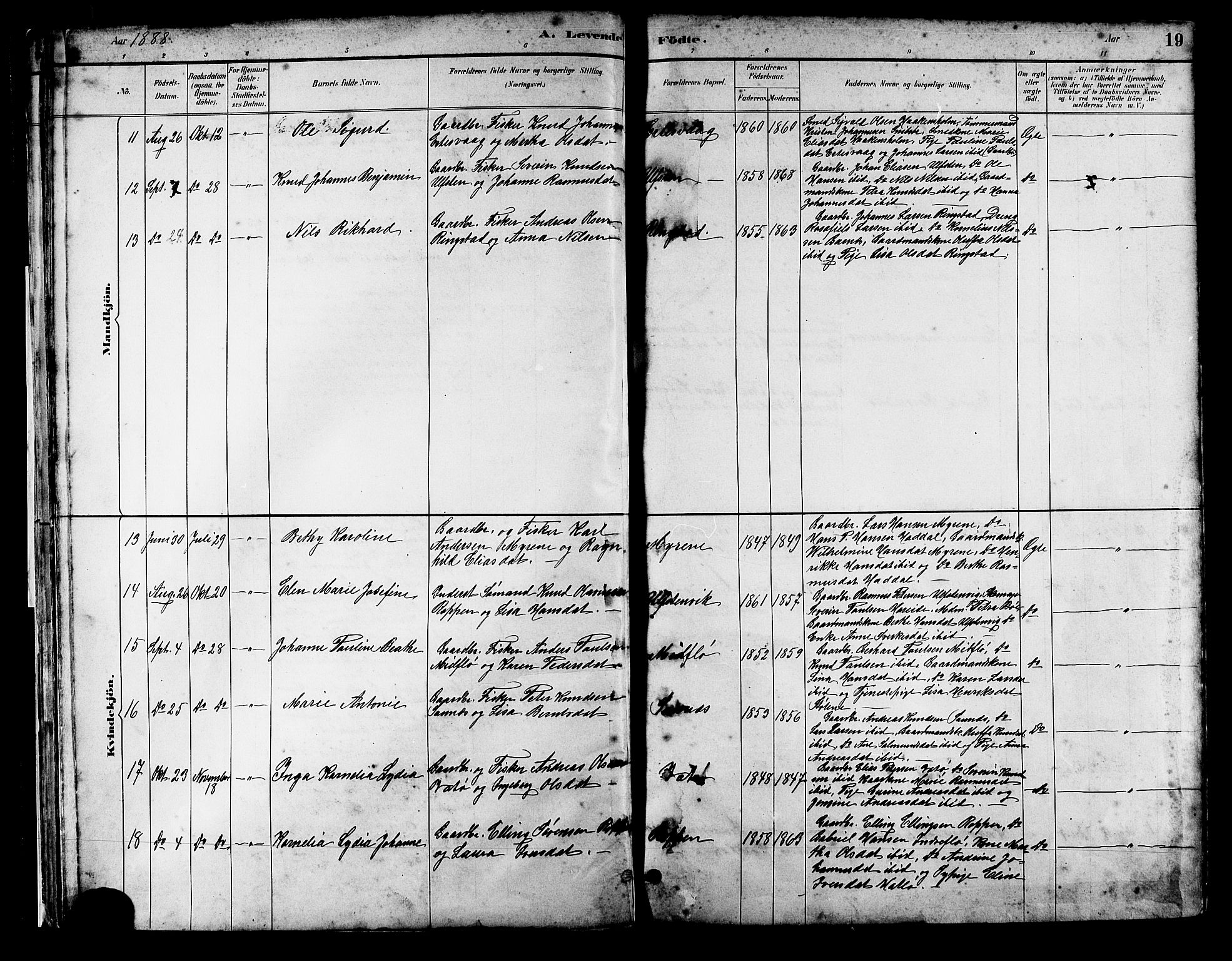 Ministerialprotokoller, klokkerbøker og fødselsregistre - Møre og Romsdal, SAT/A-1454/509/L0112: Klokkerbok nr. 509C02, 1883-1922, s. 19