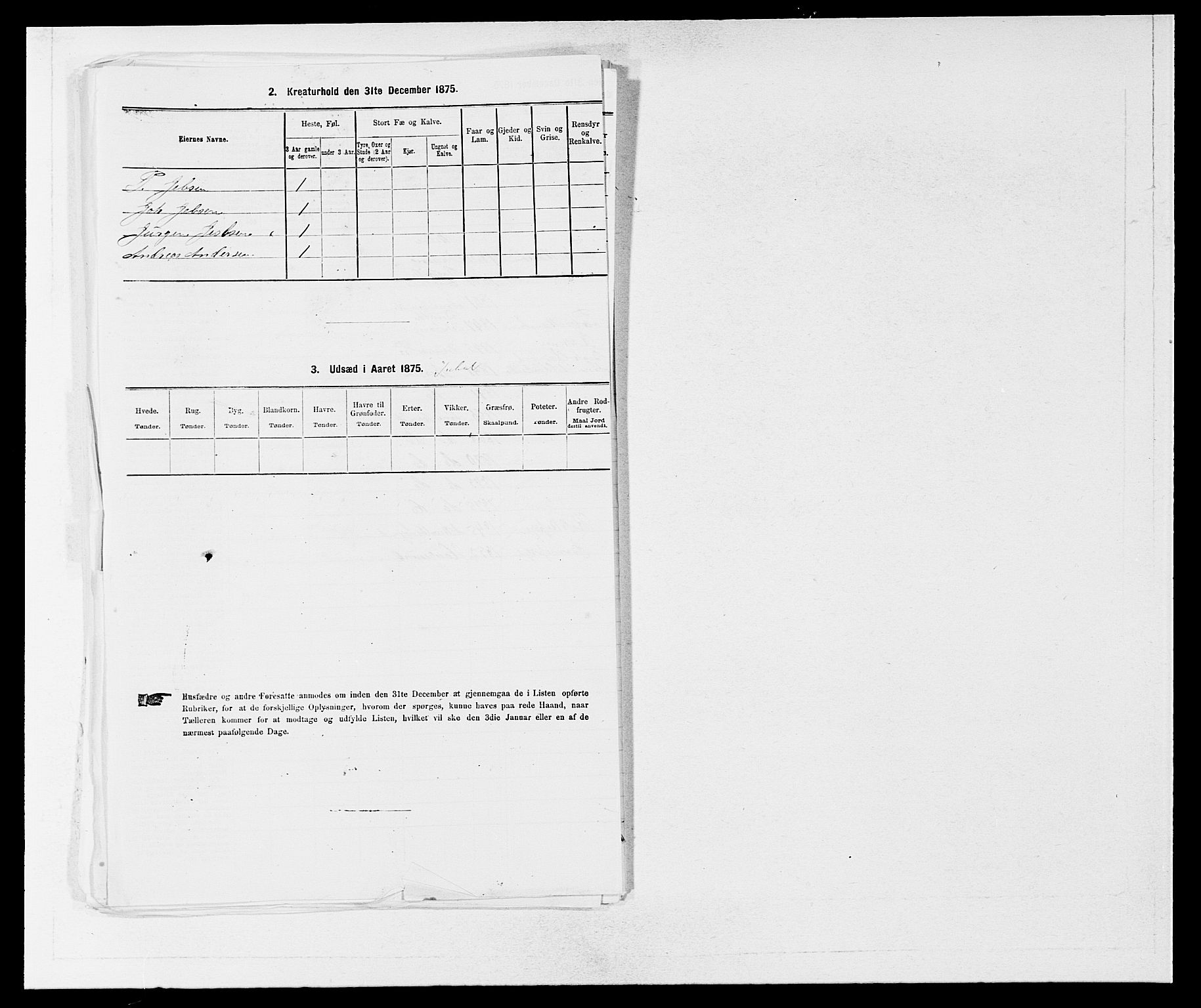 SAB, Folketelling 1875 for 1250P Haus prestegjeld, 1875, s. 862