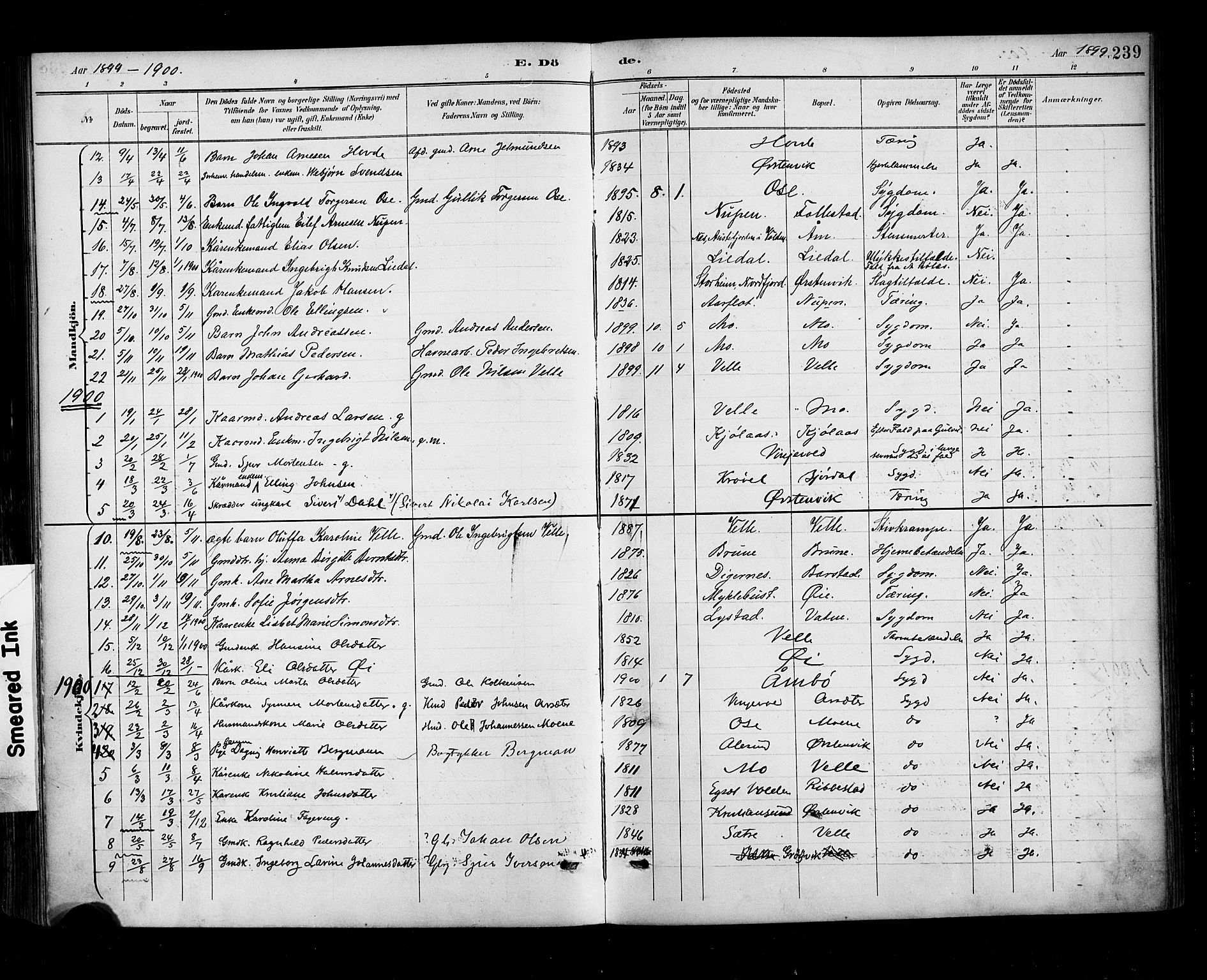 Ministerialprotokoller, klokkerbøker og fødselsregistre - Møre og Romsdal, SAT/A-1454/513/L0177: Ministerialbok nr. 513A04, 1890-1906, s. 239