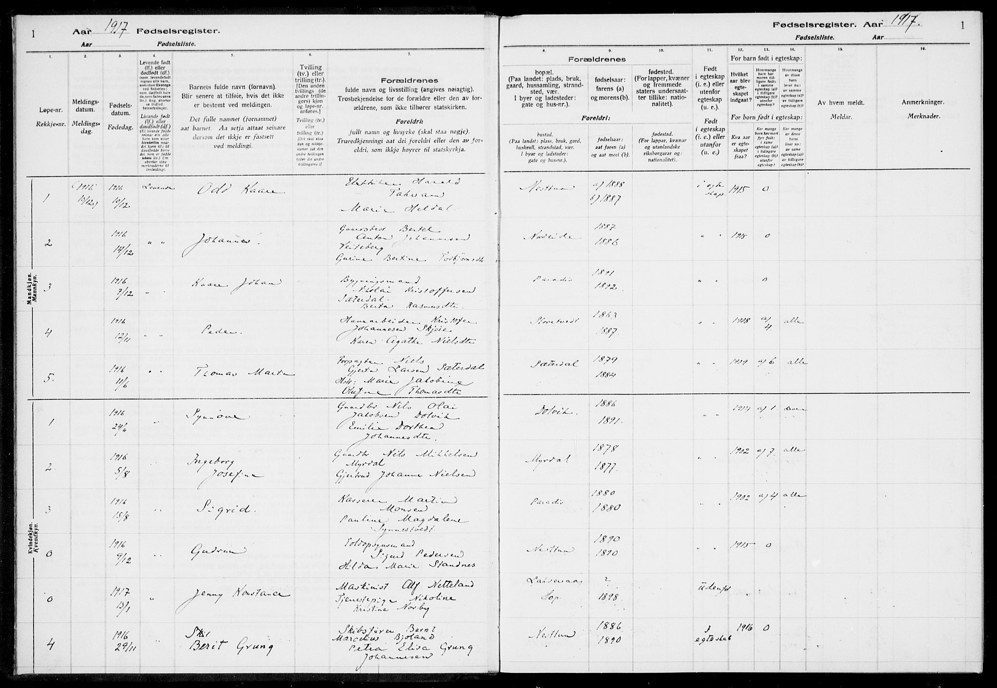 Birkeland Sokneprestembete, SAB/A-74601/I/Id/L00A1: Fødselsregister nr. A 1, 1916-1926, s. 1