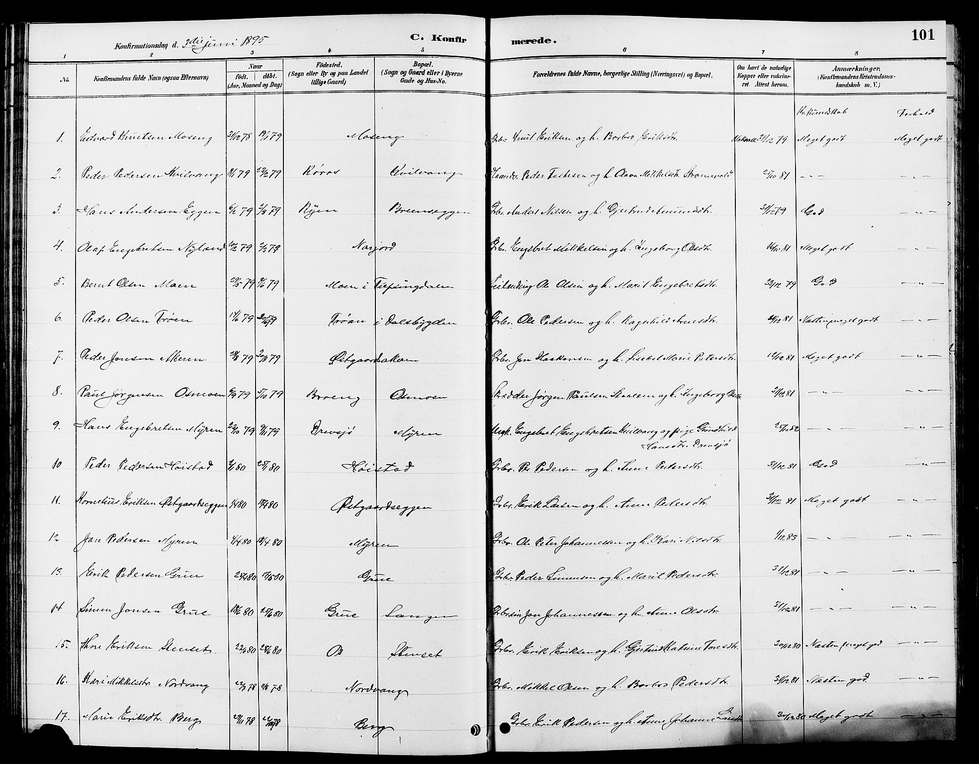Tolga prestekontor, AV/SAH-PREST-062/L/L0008: Klokkerbok nr. 8, 1887-1912, s. 101