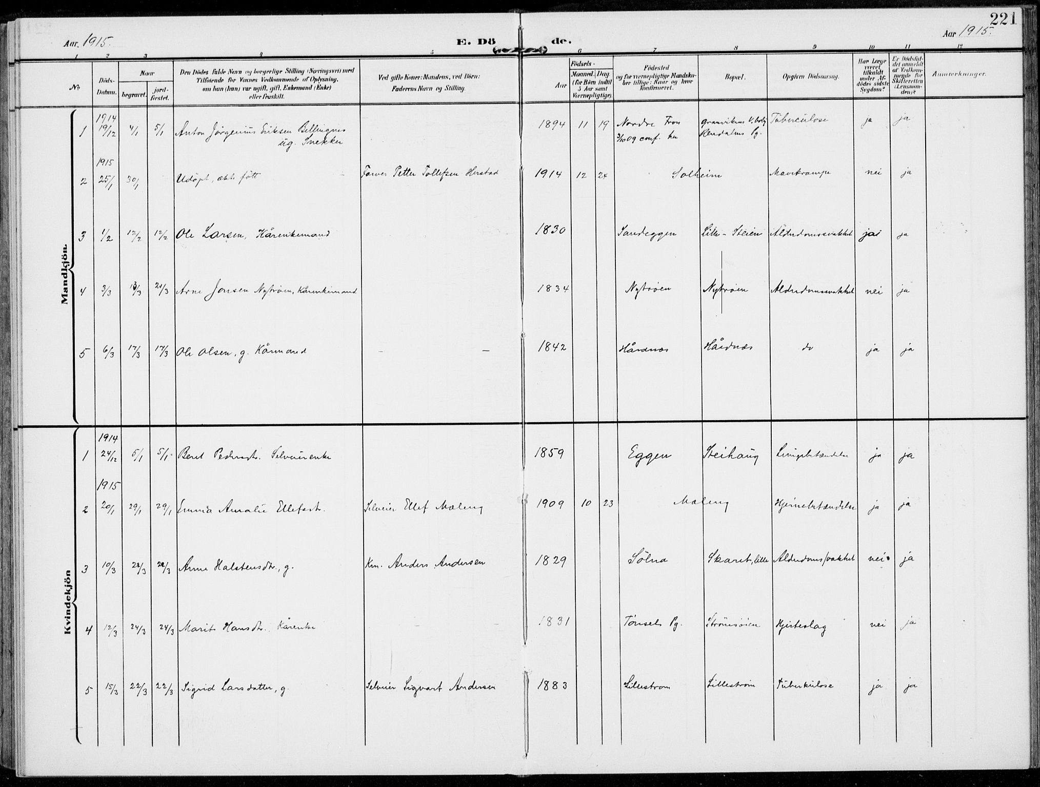 Alvdal prestekontor, SAH/PREST-060/H/Ha/Haa/L0004: Ministerialbok nr. 4, 1907-1919, s. 221