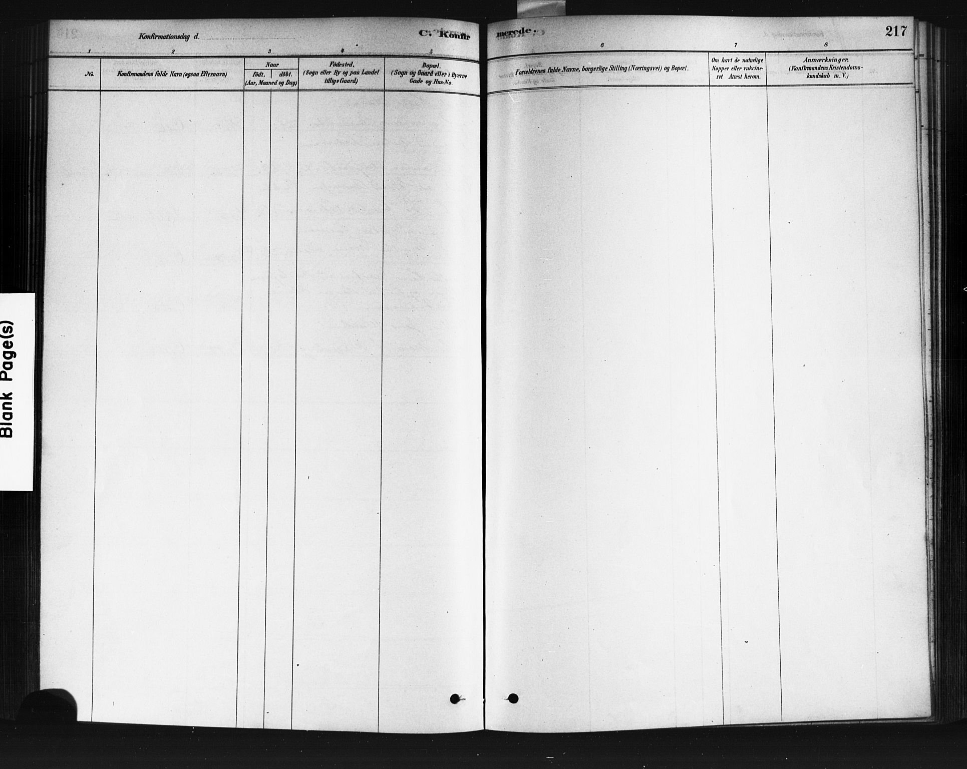 Vestre Aker prestekontor Kirkebøker, AV/SAO-A-10025/F/Fa/L0008: Ministerialbok nr. 8, 1878-1903, s. 217