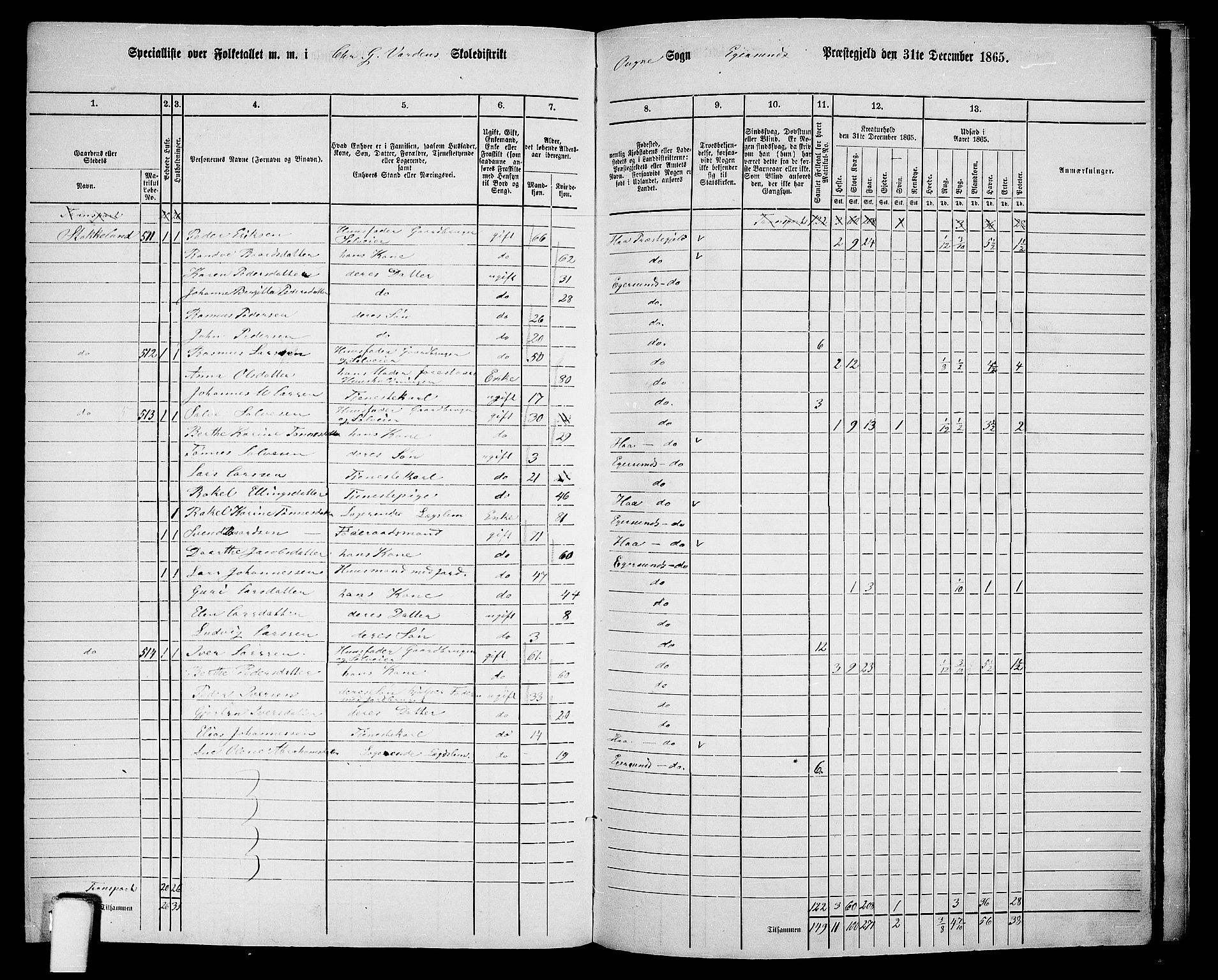 RA, Folketelling 1865 for 1116L Eigersund prestegjeld, Eigersund landsokn og Ogna sokn, 1865, s. 149