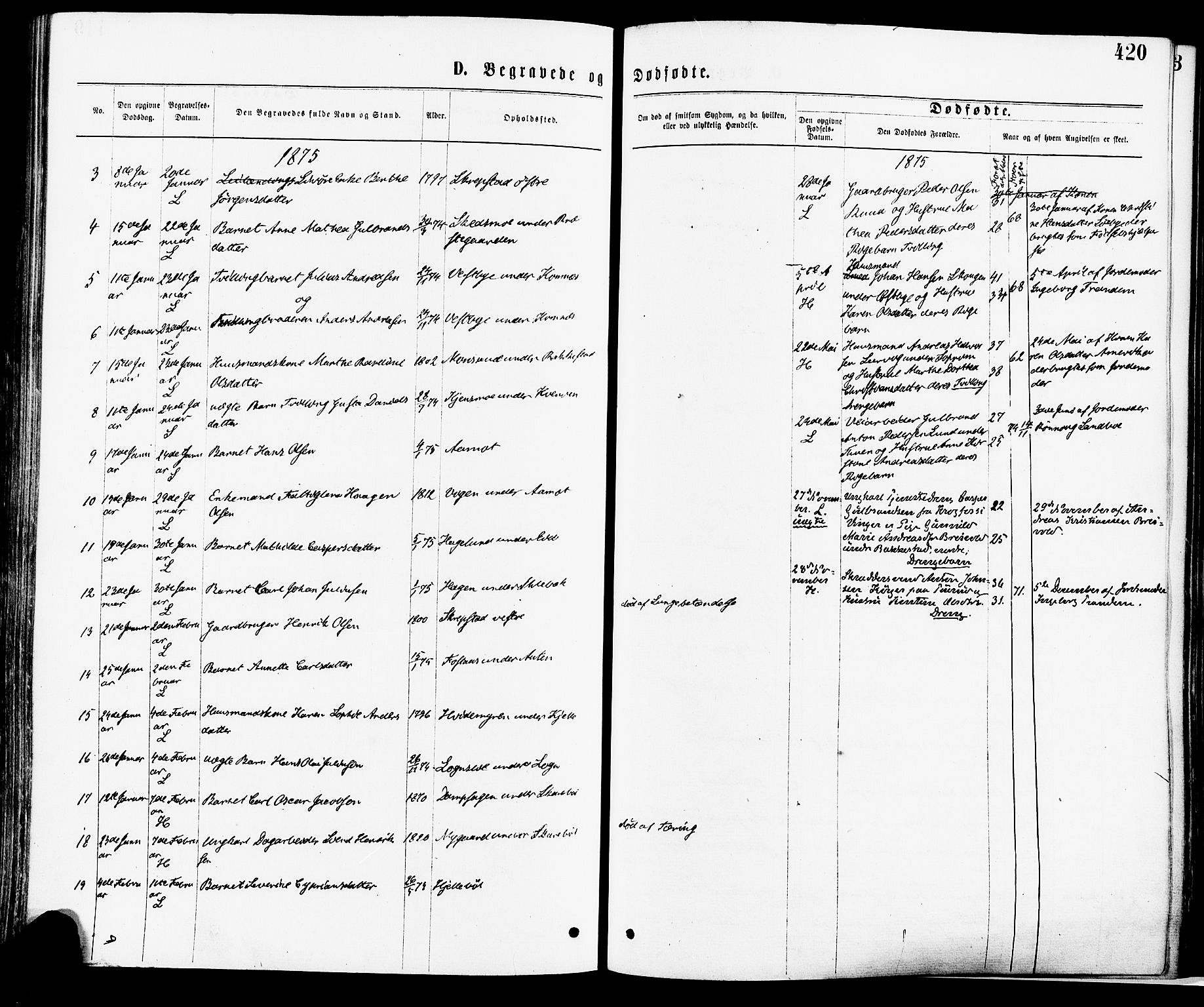 Høland prestekontor Kirkebøker, SAO/A-10346a/F/Fa/L0012.a: Ministerialbok nr. I 12A, 1869-1879, s. 420