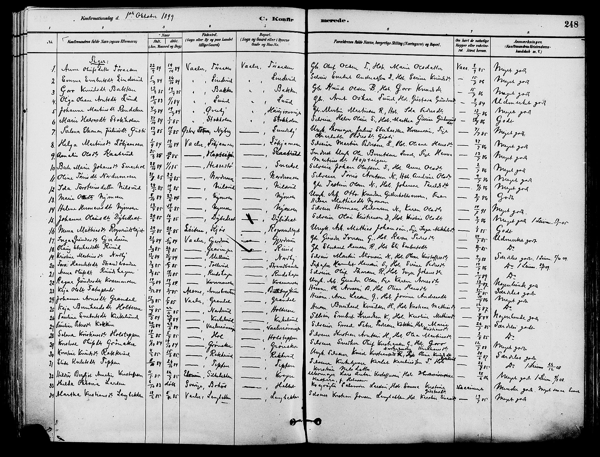 Våler prestekontor, Hedmark, AV/SAH-PREST-040/H/Ha/Haa/L0002: Ministerialbok nr. 3, 1879-1911, s. 248
