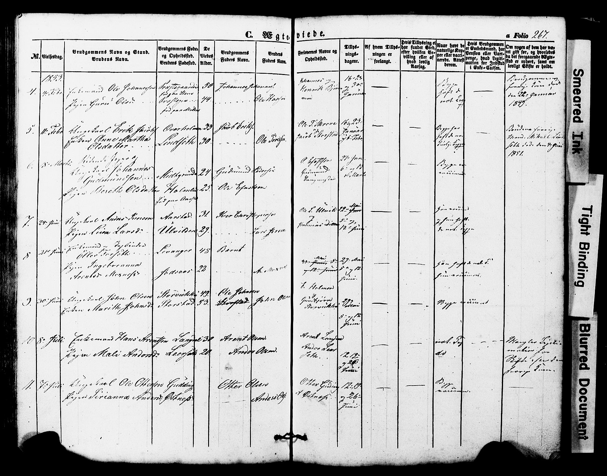 Ministerialprotokoller, klokkerbøker og fødselsregistre - Nord-Trøndelag, SAT/A-1458/724/L0268: Klokkerbok nr. 724C04, 1846-1878, s. 267