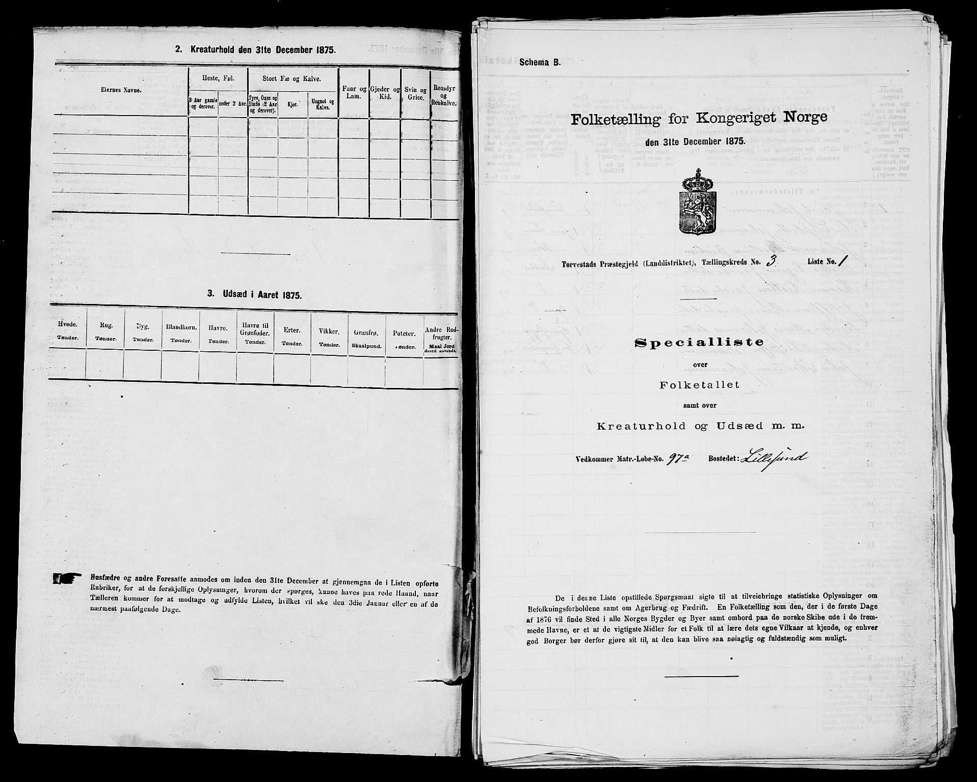 SAST, Folketelling 1875 for 1152L Torvastad prestegjeld, Torvastad sokn, Skåre sokn og Utsira sokn, 1875, s. 417