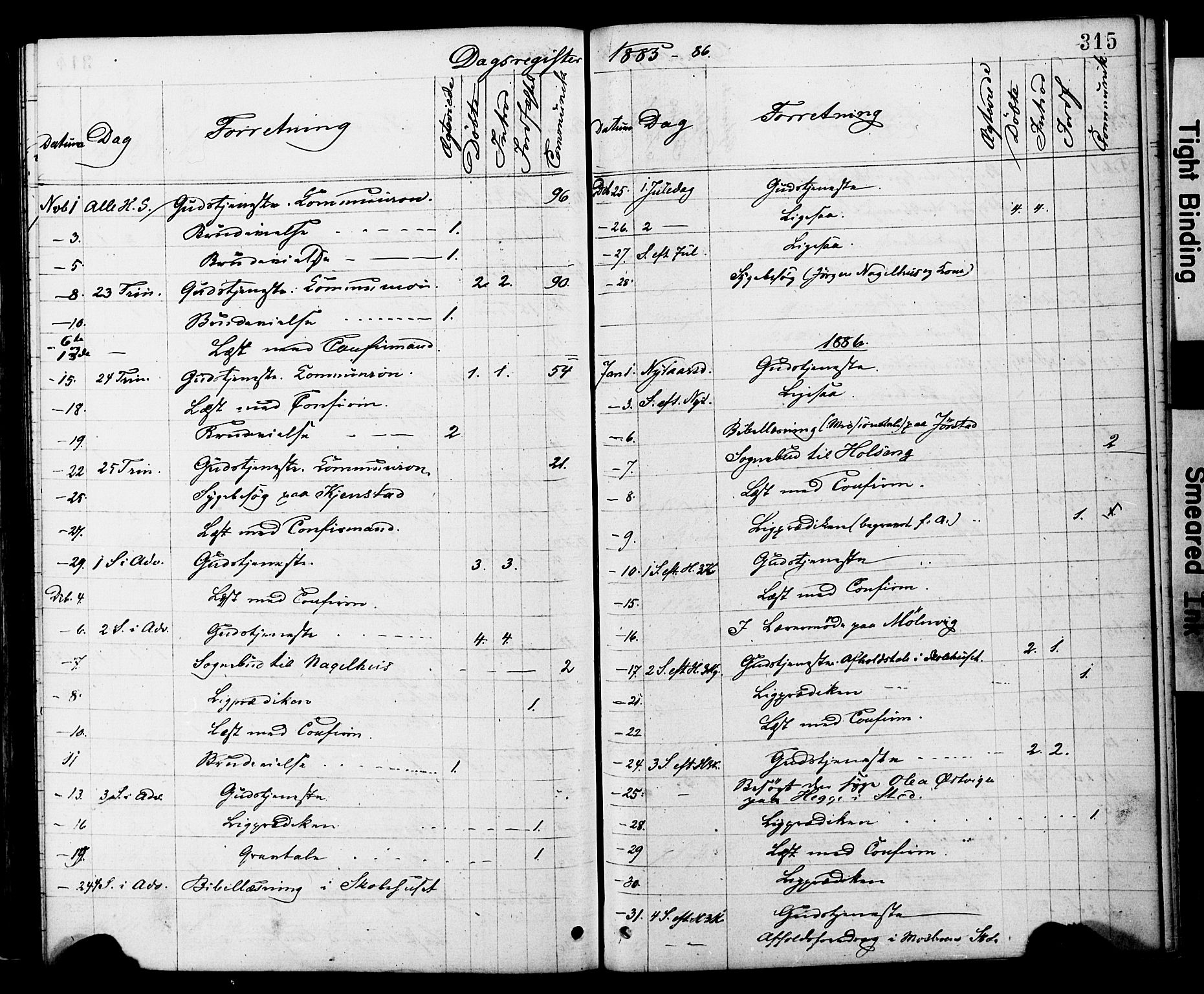 Ministerialprotokoller, klokkerbøker og fødselsregistre - Nord-Trøndelag, SAT/A-1458/749/L0473: Ministerialbok nr. 749A07, 1873-1887, s. 315