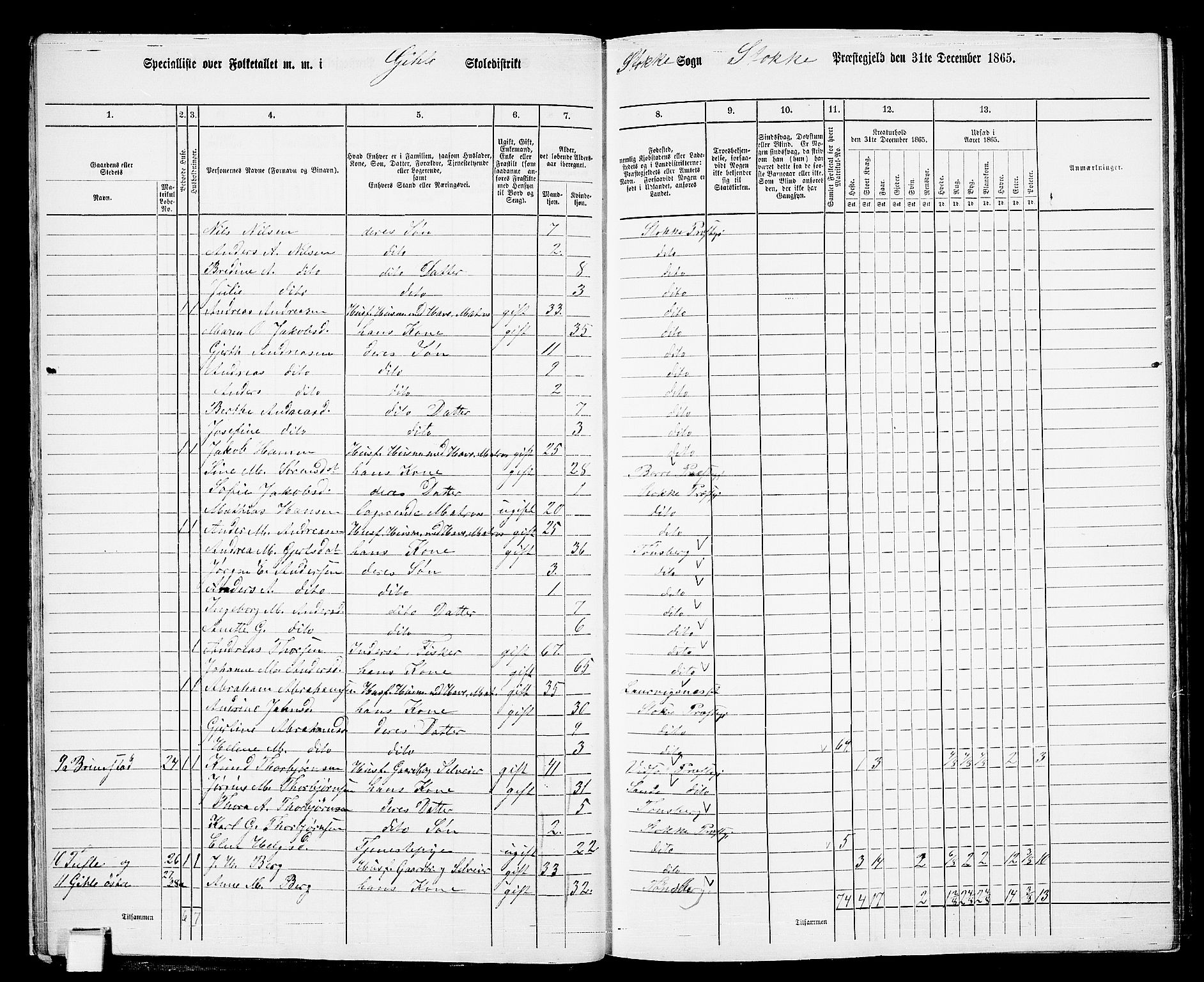 RA, Folketelling 1865 for 0720P Stokke prestegjeld, 1865, s. 24