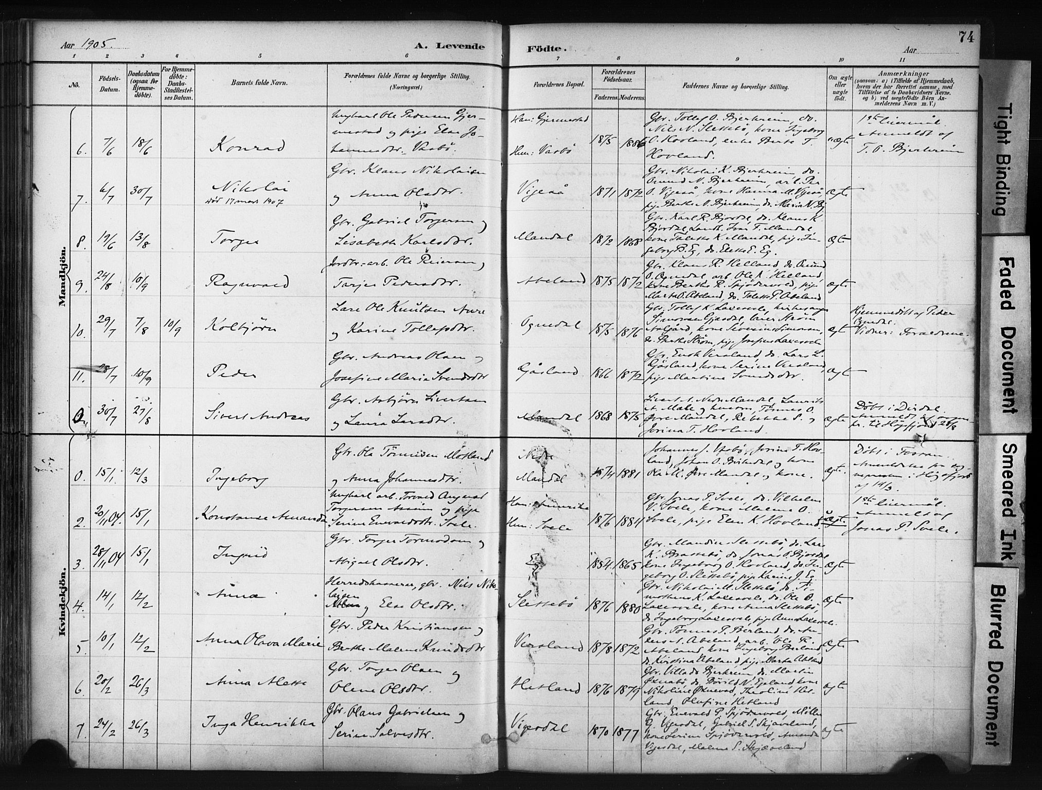 Helleland sokneprestkontor, AV/SAST-A-101810: Ministerialbok nr. A 9, 1887-1908, s. 74