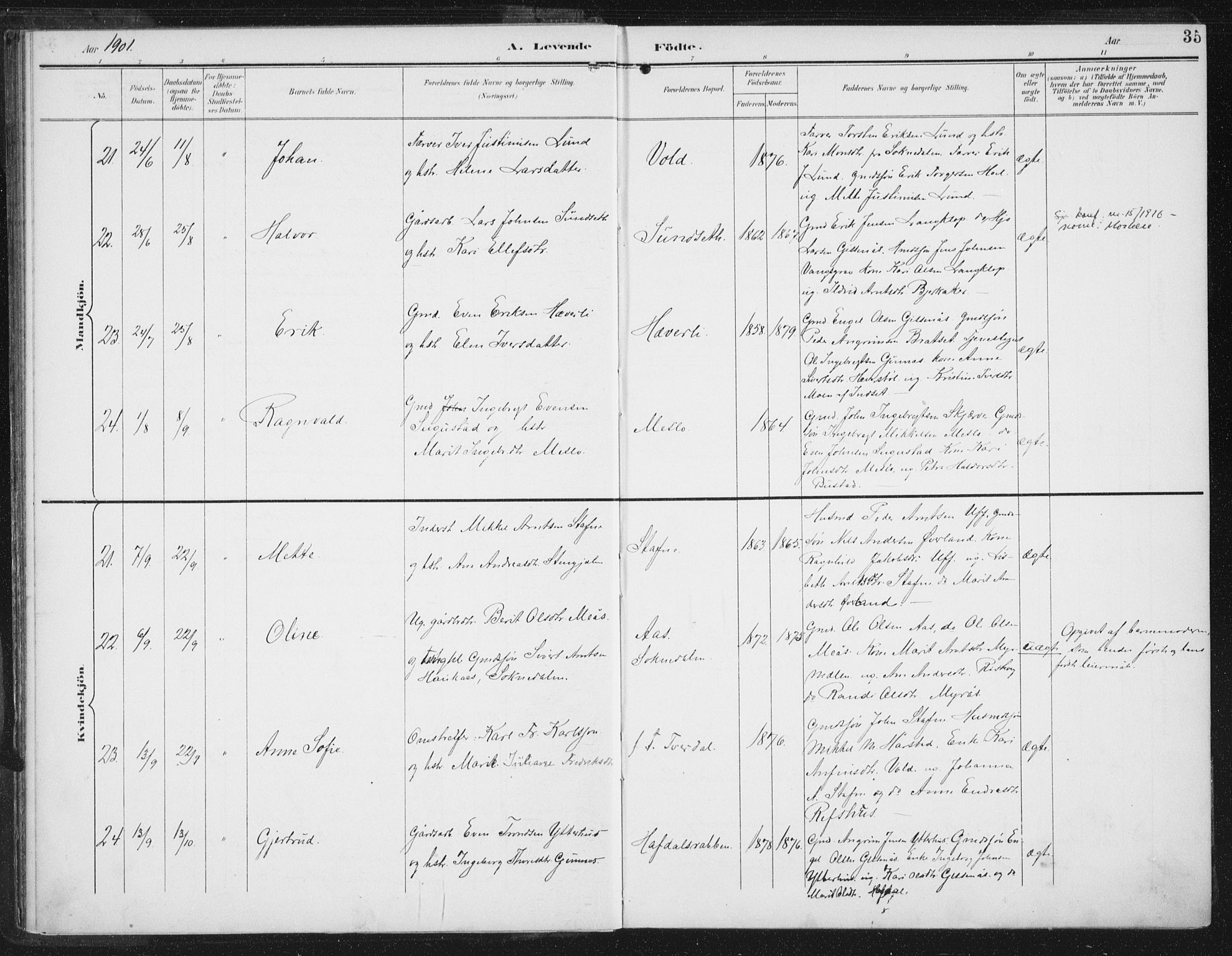 Ministerialprotokoller, klokkerbøker og fødselsregistre - Sør-Trøndelag, AV/SAT-A-1456/674/L0872: Ministerialbok nr. 674A04, 1897-1907, s. 35