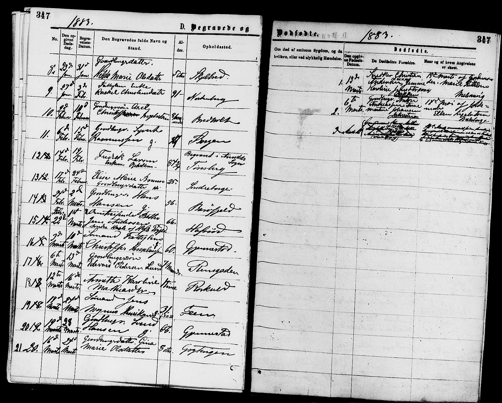 Stokke kirkebøker, AV/SAKO-A-320/F/Fa/L0009: Ministerialbok nr. I 9, 1872-1883, s. 347