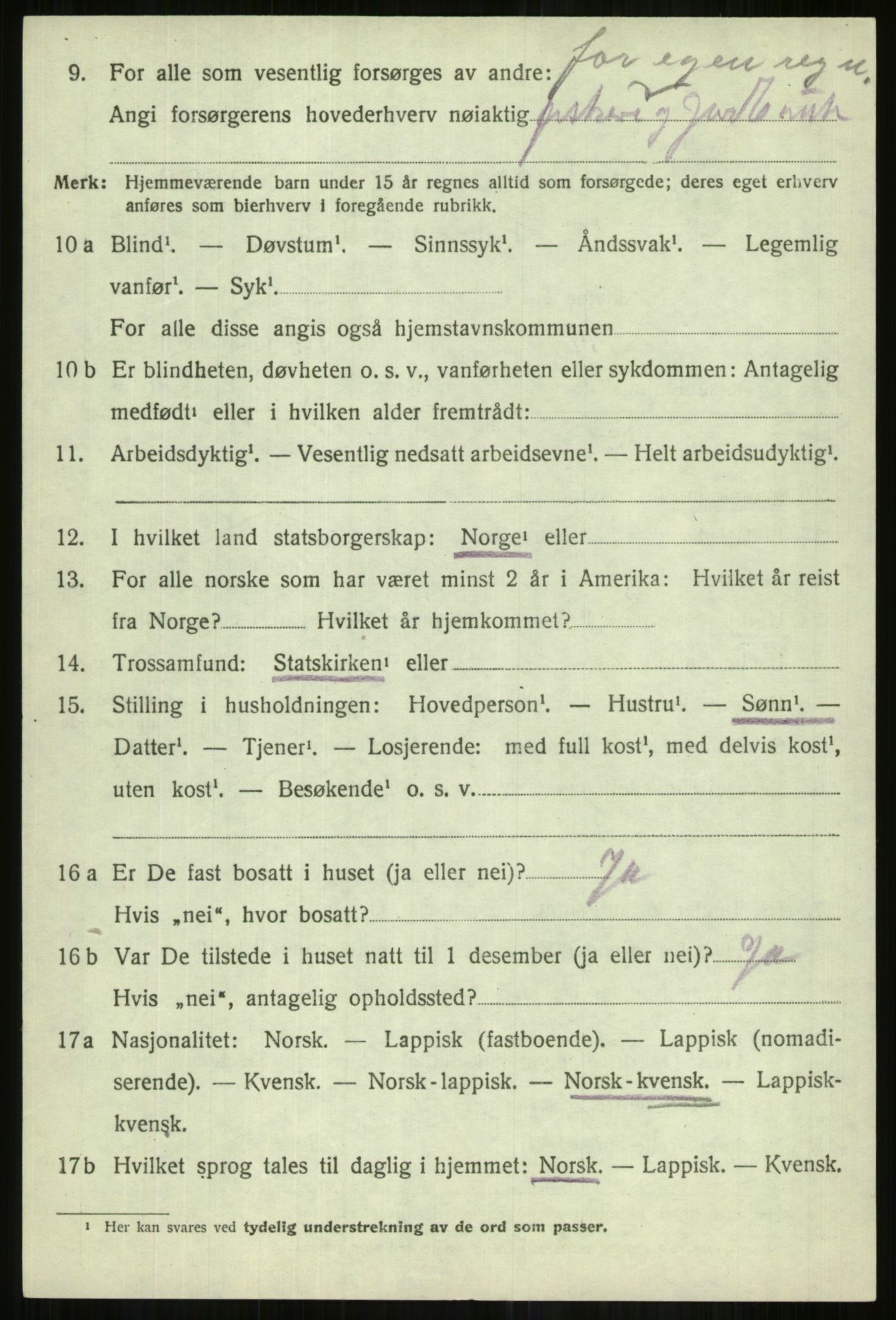 SATØ, Folketelling 1920 for 1938 Lyngen herred, 1920, s. 10394