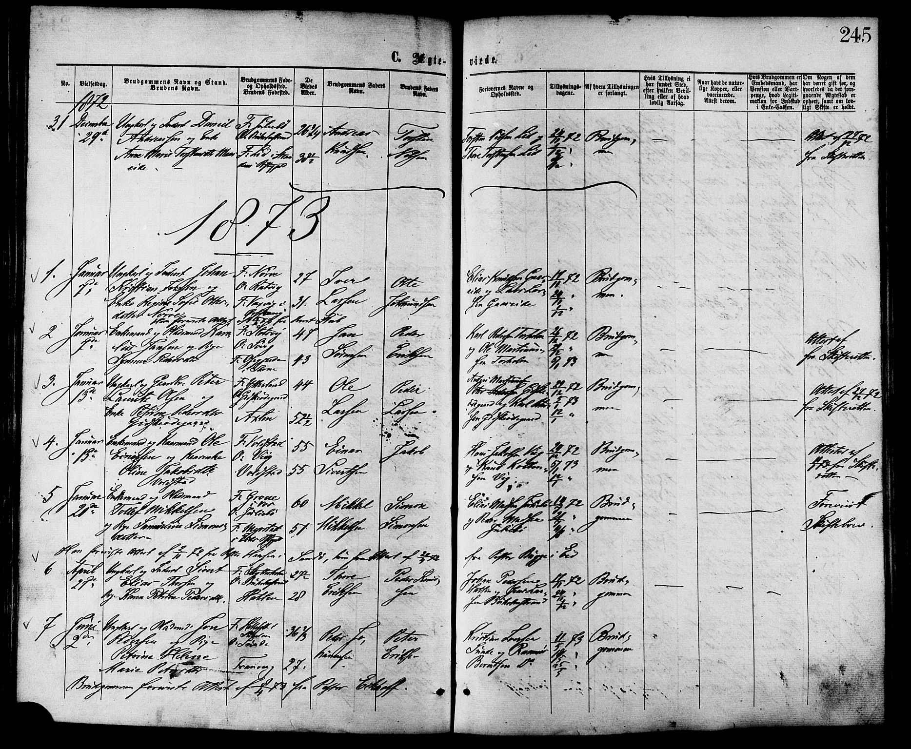 Ministerialprotokoller, klokkerbøker og fødselsregistre - Møre og Romsdal, SAT/A-1454/528/L0399: Ministerialbok nr. 528A10, 1864-1879, s. 245