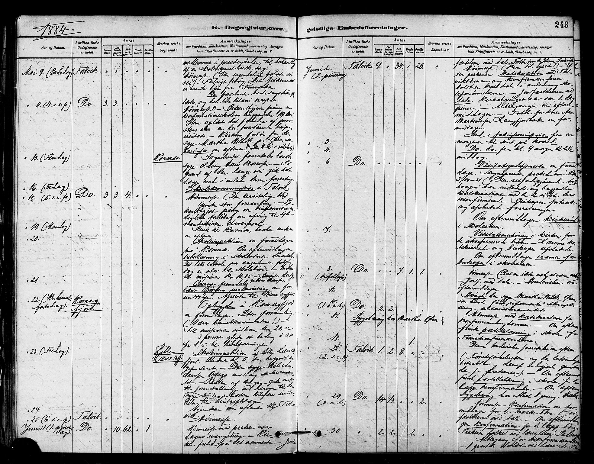 Talvik sokneprestkontor, AV/SATØ-S-1337/H/Ha/L0012kirke: Ministerialbok nr. 12, 1878-1886, s. 243