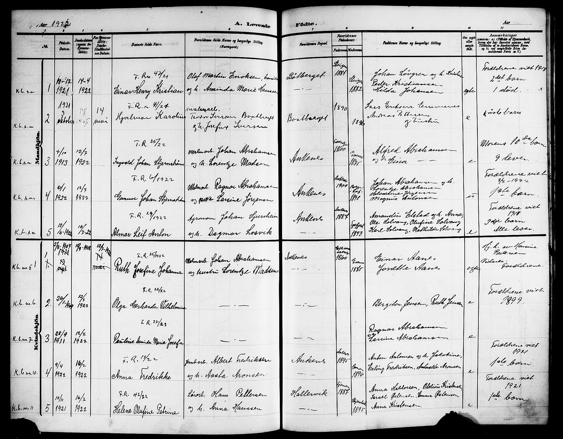 Ministerialprotokoller, klokkerbøker og fødselsregistre - Nordland, AV/SAT-A-1459/866/L0954: Klokkerbok nr. 866C03, 1905-1923