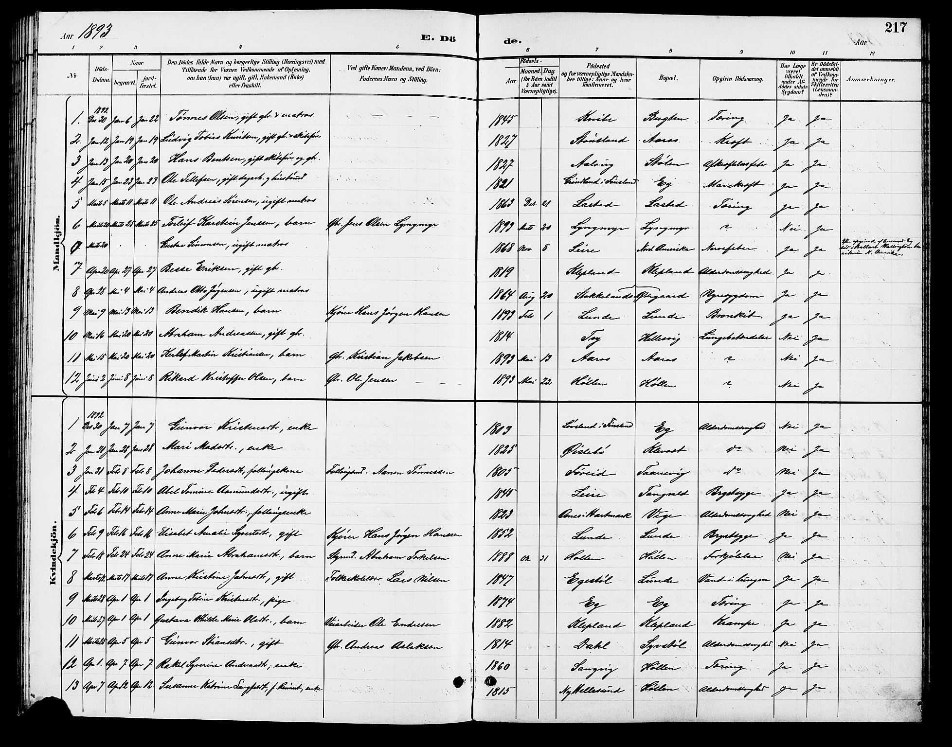 Søgne sokneprestkontor, SAK/1111-0037/F/Fb/Fbb/L0006: Klokkerbok nr. B 6, 1892-1911, s. 217