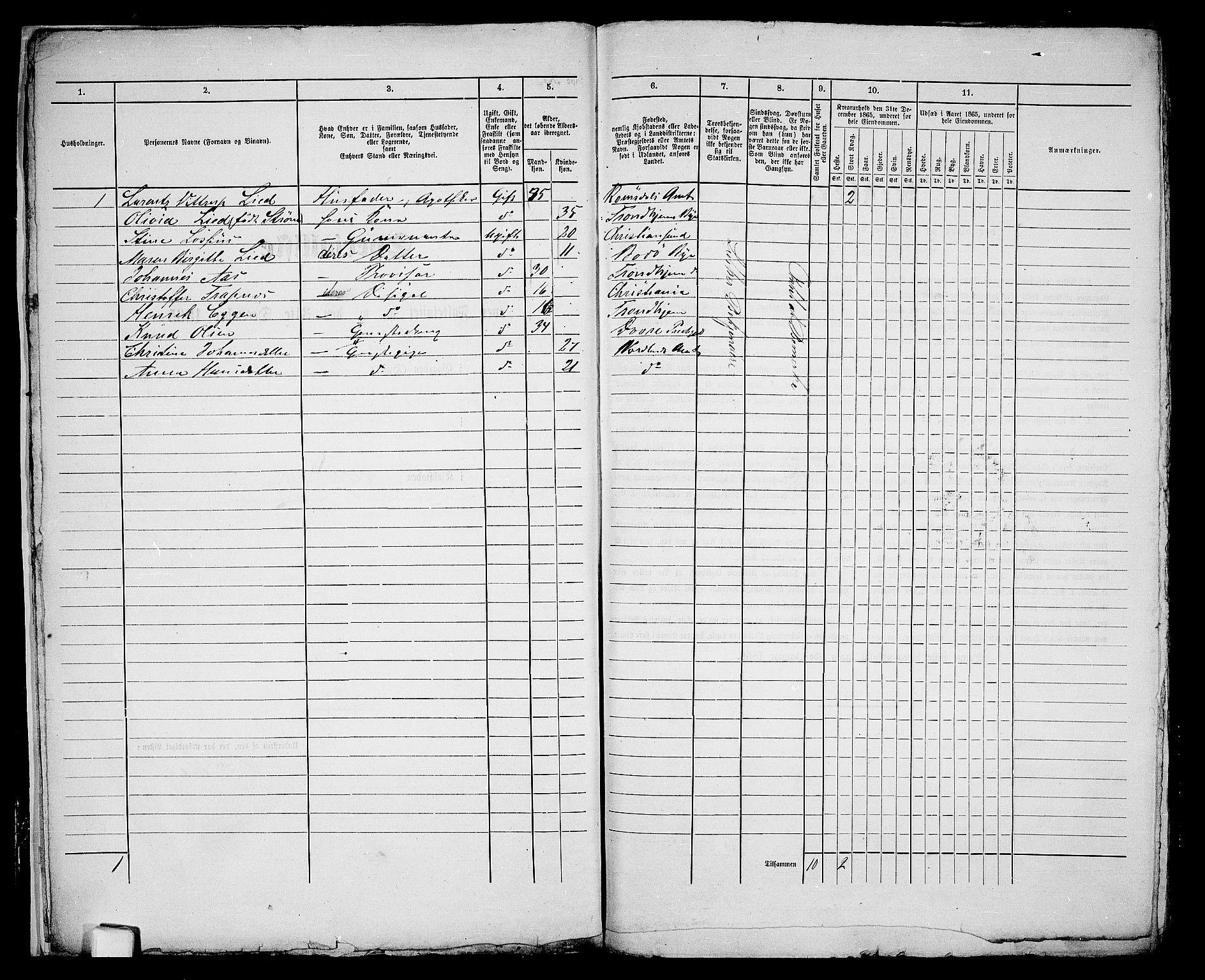 RA, Folketelling 1865 for 1804B Bodø prestegjeld, Bodø kjøpstad, 1865, s. 11