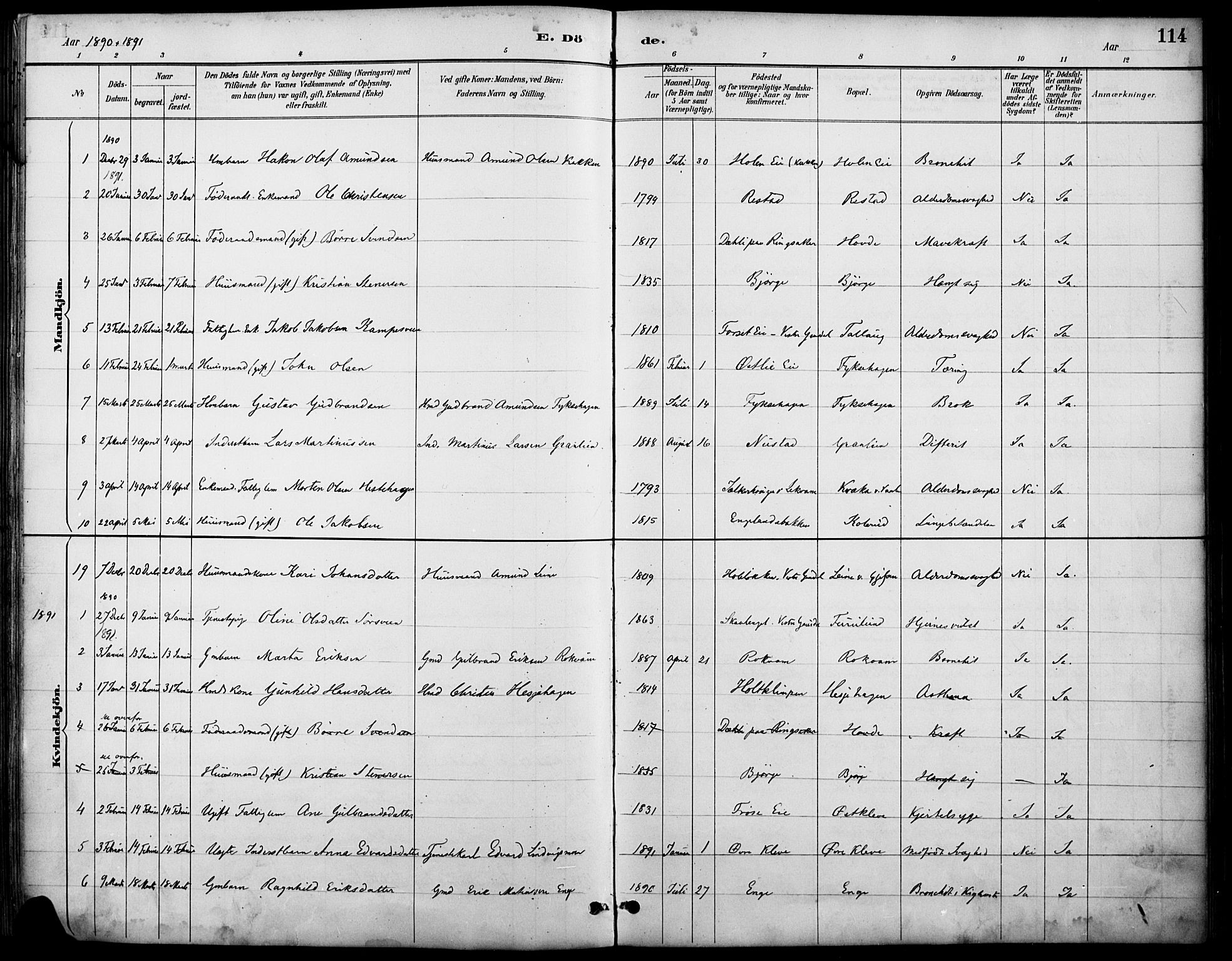 Østre Gausdal prestekontor, AV/SAH-PREST-092/H/Ha/Haa/L0002: Ministerialbok nr. 2, 1887-1897, s. 114