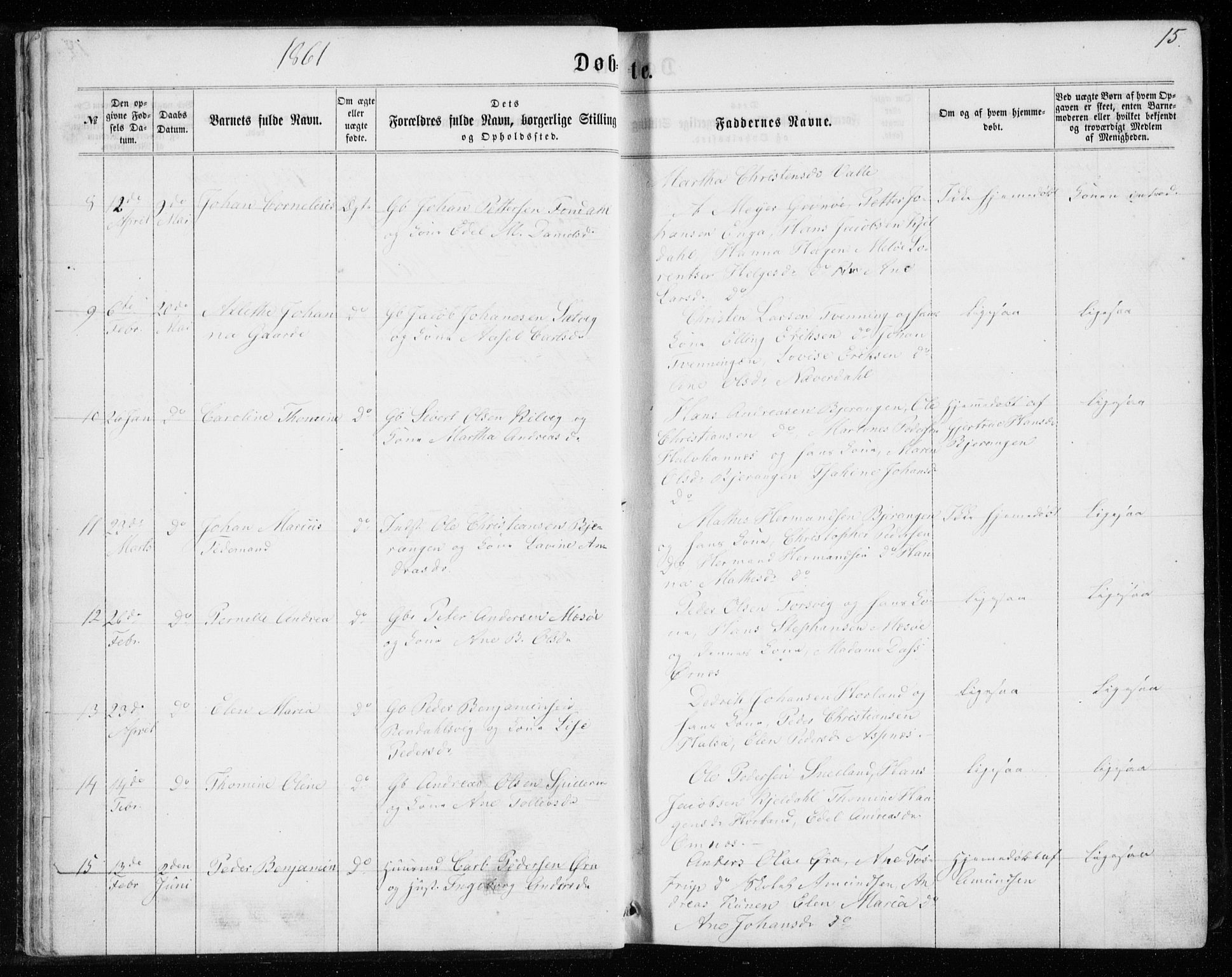 Ministerialprotokoller, klokkerbøker og fødselsregistre - Nordland, SAT/A-1459/843/L0634: Klokkerbok nr. 843C03, 1860-1884, s. 15