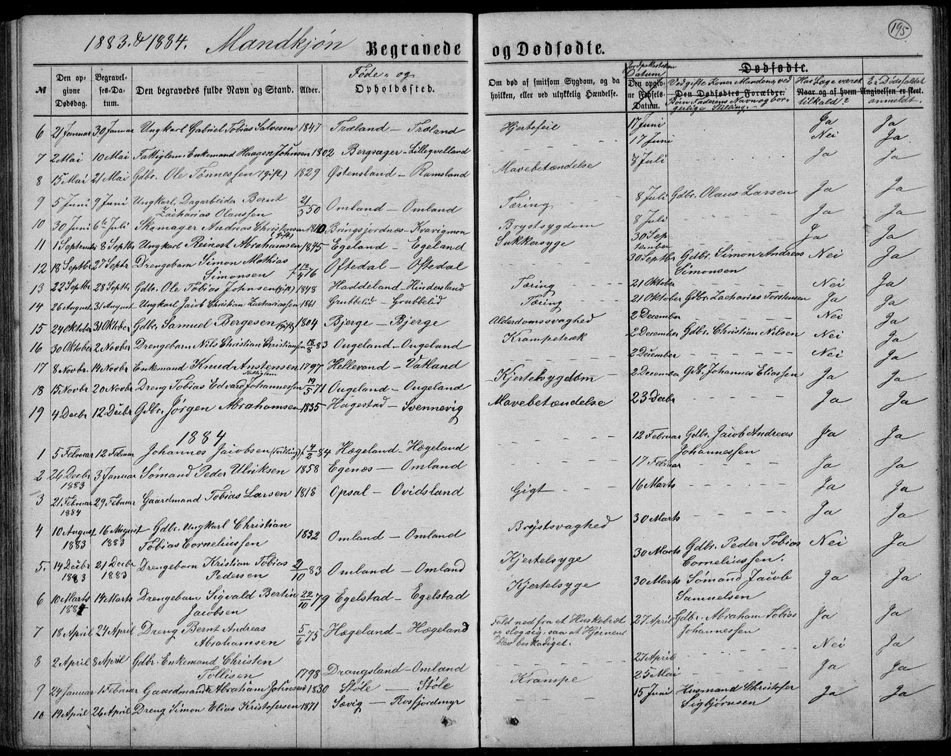 Lyngdal sokneprestkontor, AV/SAK-1111-0029/F/Fb/Fbc/L0004: Klokkerbok nr. B 4, 1878-1896, s. 195