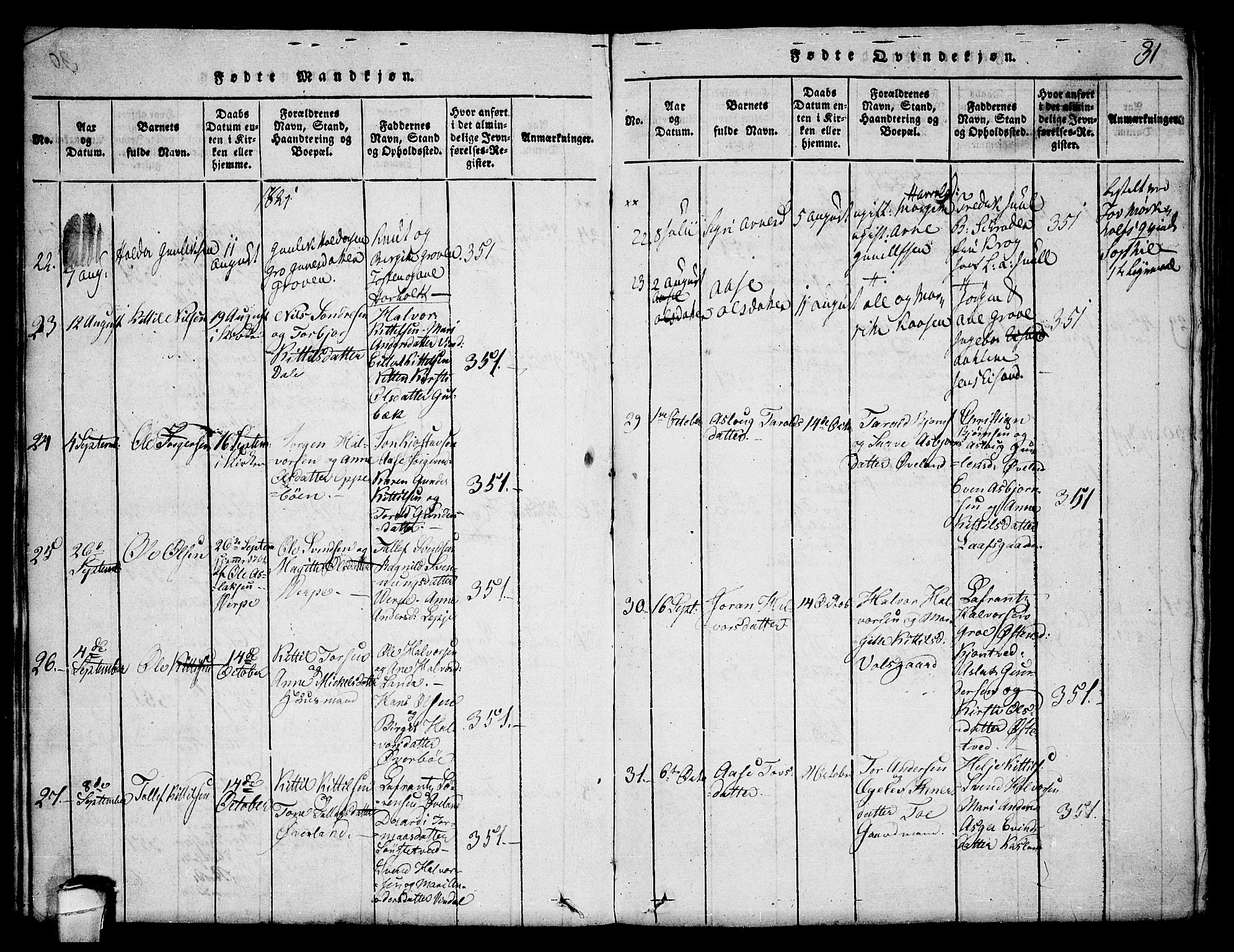 Seljord kirkebøker, AV/SAKO-A-20/F/Fa/L0010: Ministerialbok nr. I 10, 1815-1831, s. 31