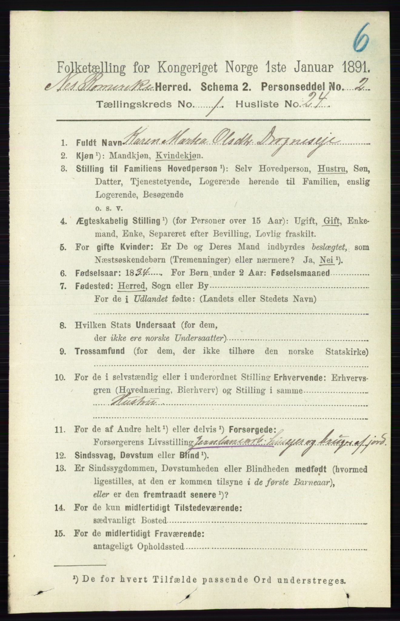 RA, Folketelling 1891 for 0236 Nes herred, 1891, s. 273