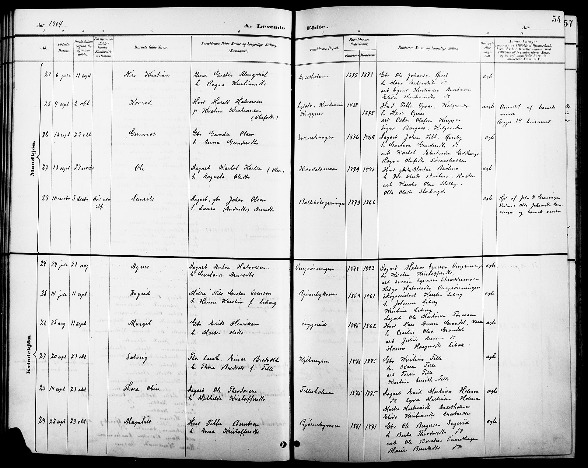 Åsnes prestekontor, AV/SAH-PREST-042/H/Ha/Hab/L0004: Klokkerbok nr. 4, 1895-1909, s. 54