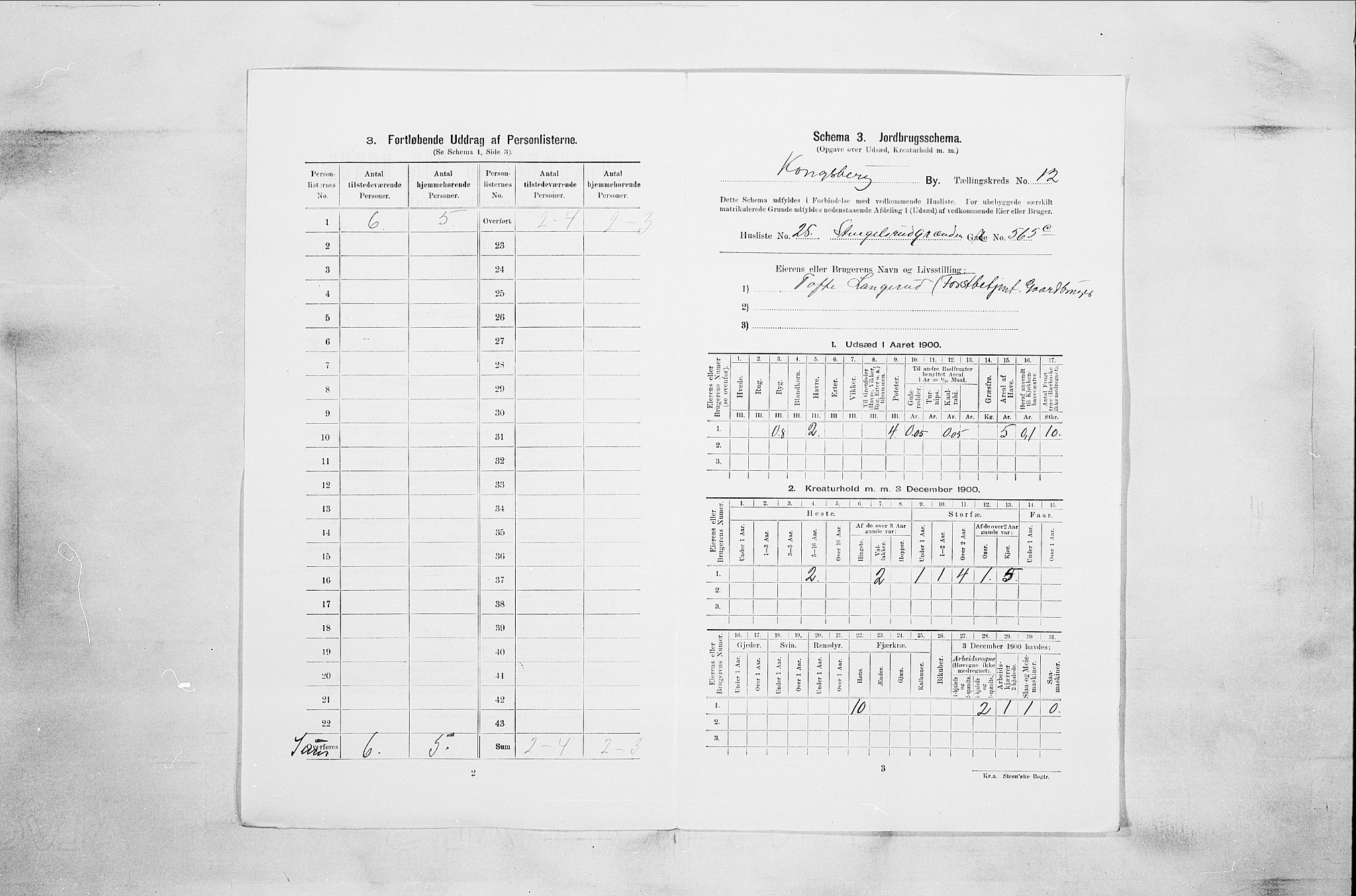 RA, Folketelling 1900 for 0604 Kongsberg kjøpstad, 1900, s. 2214