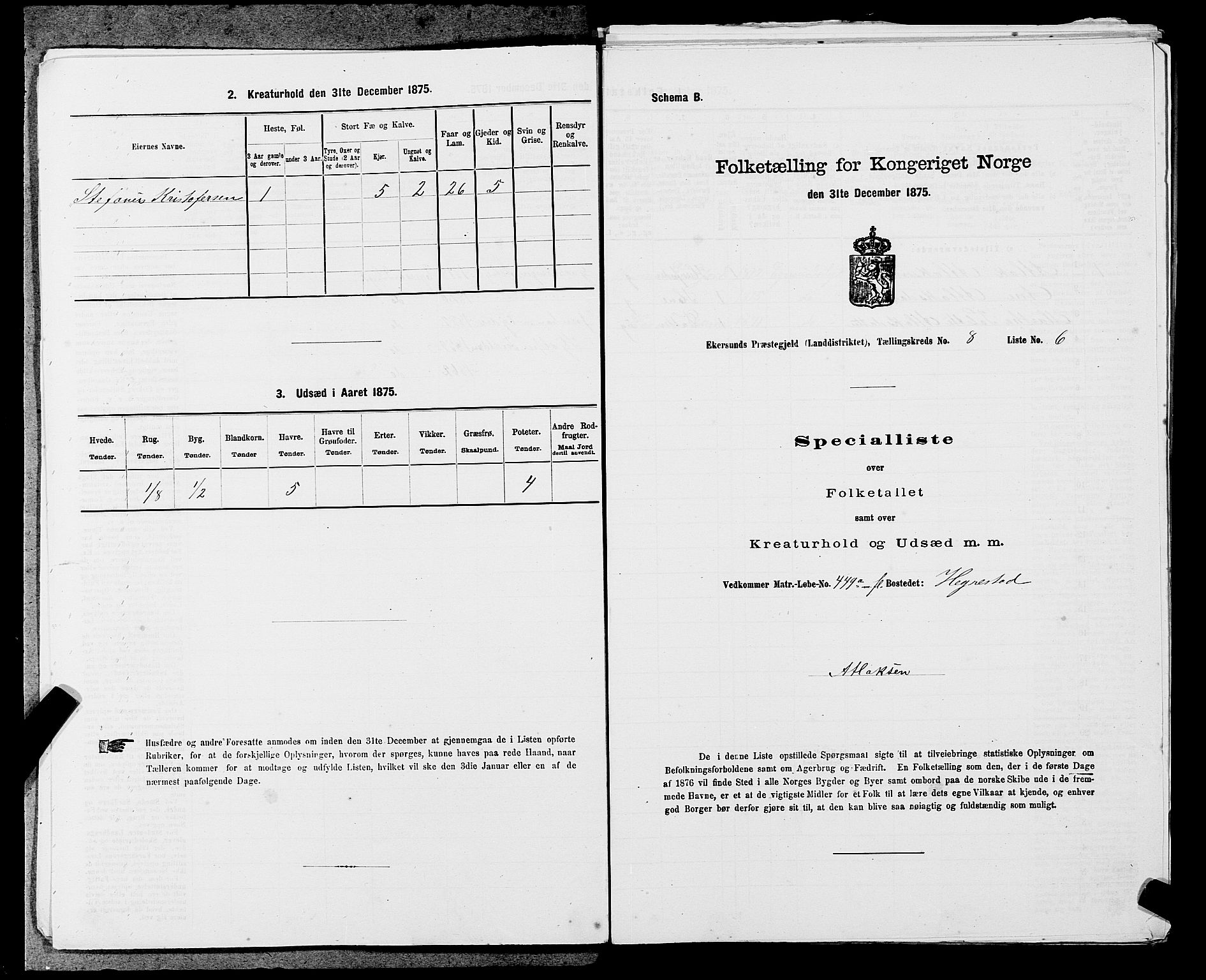 SAST, Folketelling 1875 for 1116L Eigersund prestegjeld, Eigersund landsokn og Ogna sokn, 1875, s. 867