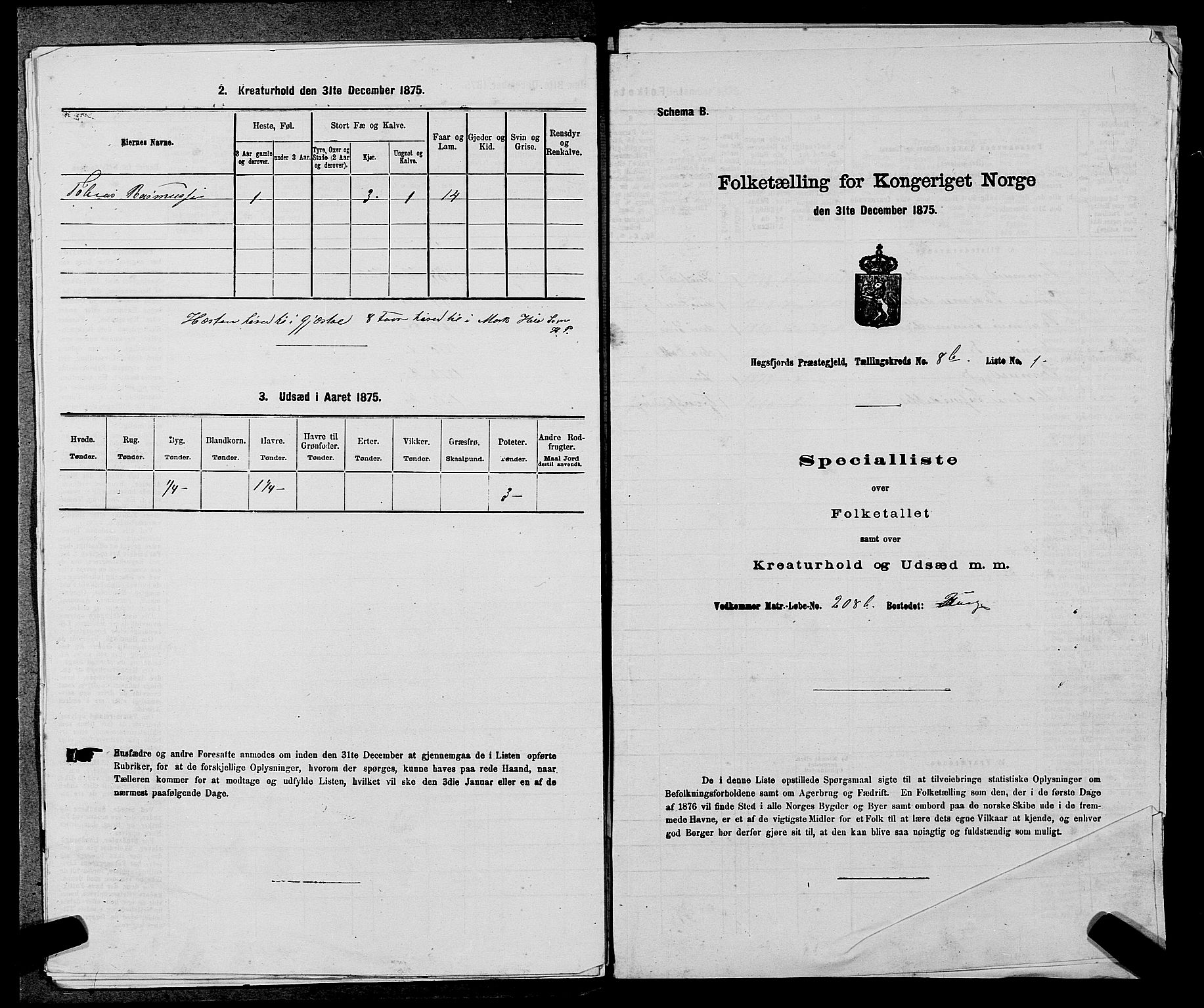 SAST, Folketelling 1875 for 1128P Høgsfjord prestegjeld, 1875, s. 732