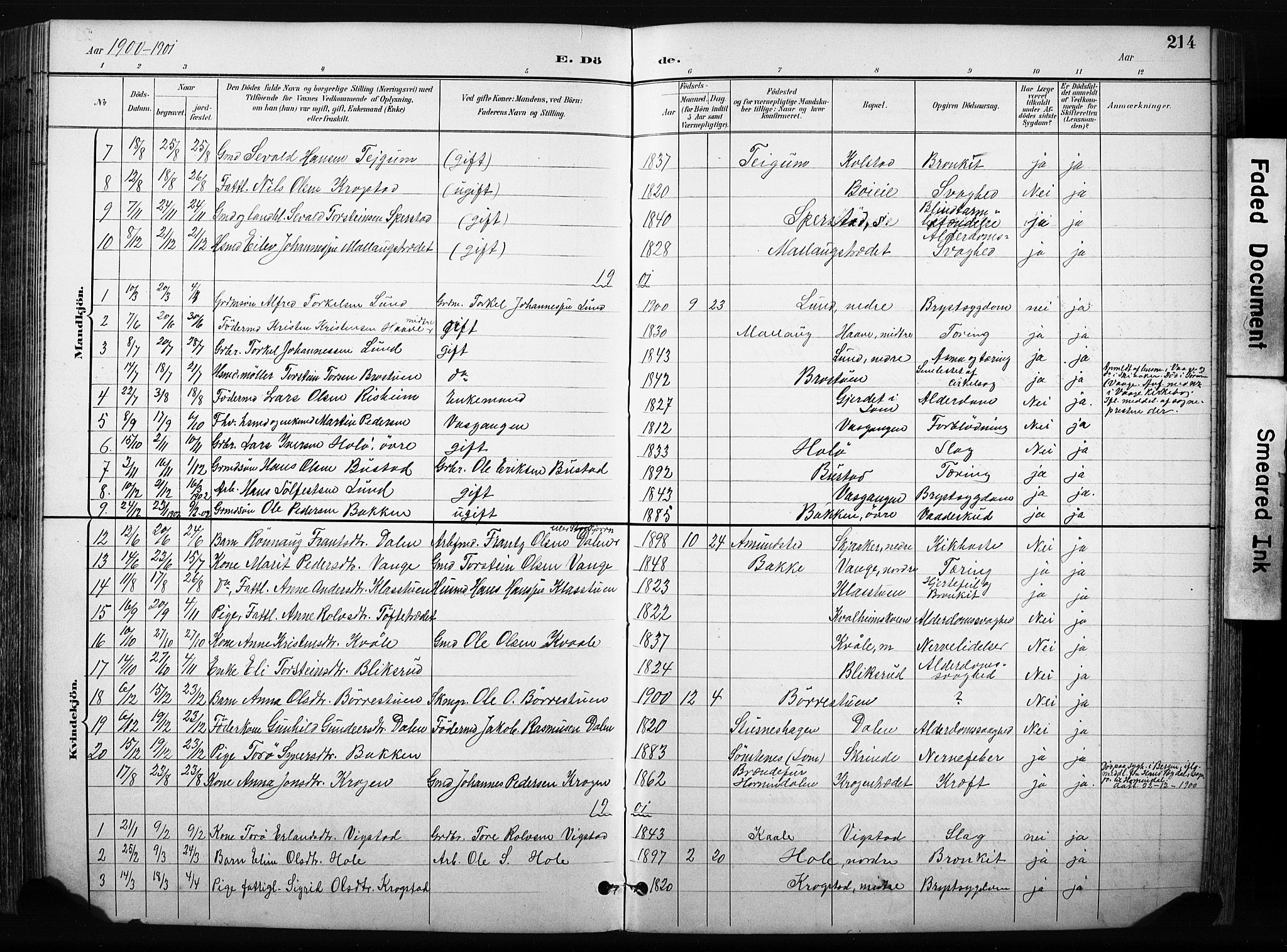 Skjåk prestekontor, AV/SAH-PREST-072/H/Ha/Hab/L0003: Klokkerbok nr. 3, 1893-1932, s. 214