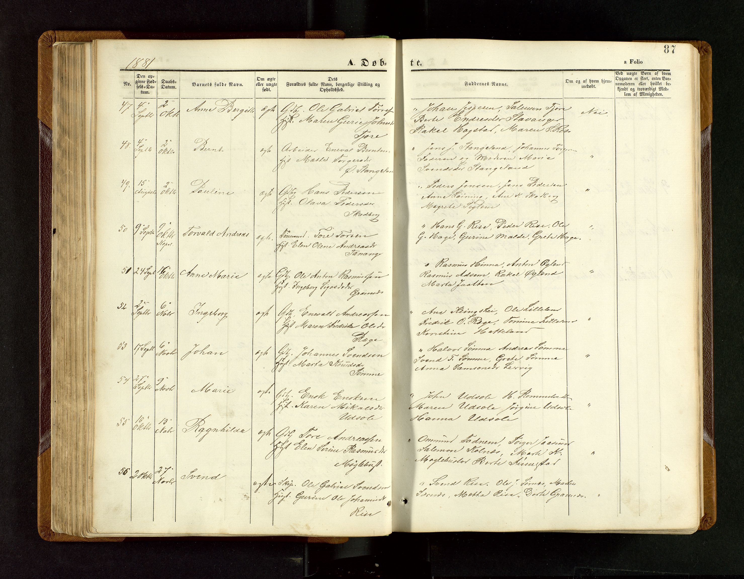 Håland sokneprestkontor, AV/SAST-A-101802/001/30BB/L0003: Klokkerbok nr. B 3, 1873-1893, s. 87