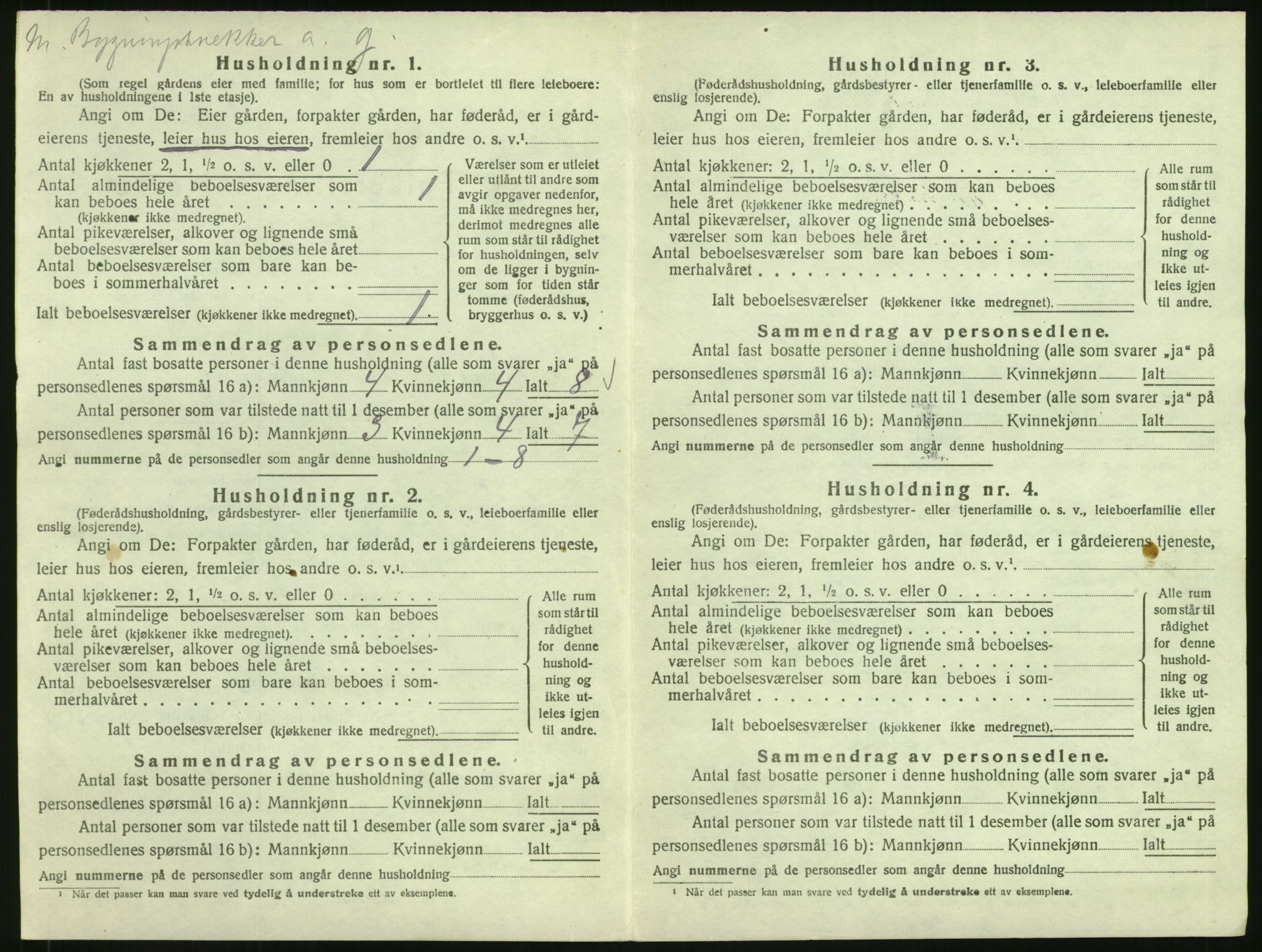 SAH, Folketelling 1920 for 0411 Nes herred, 1920, s. 38