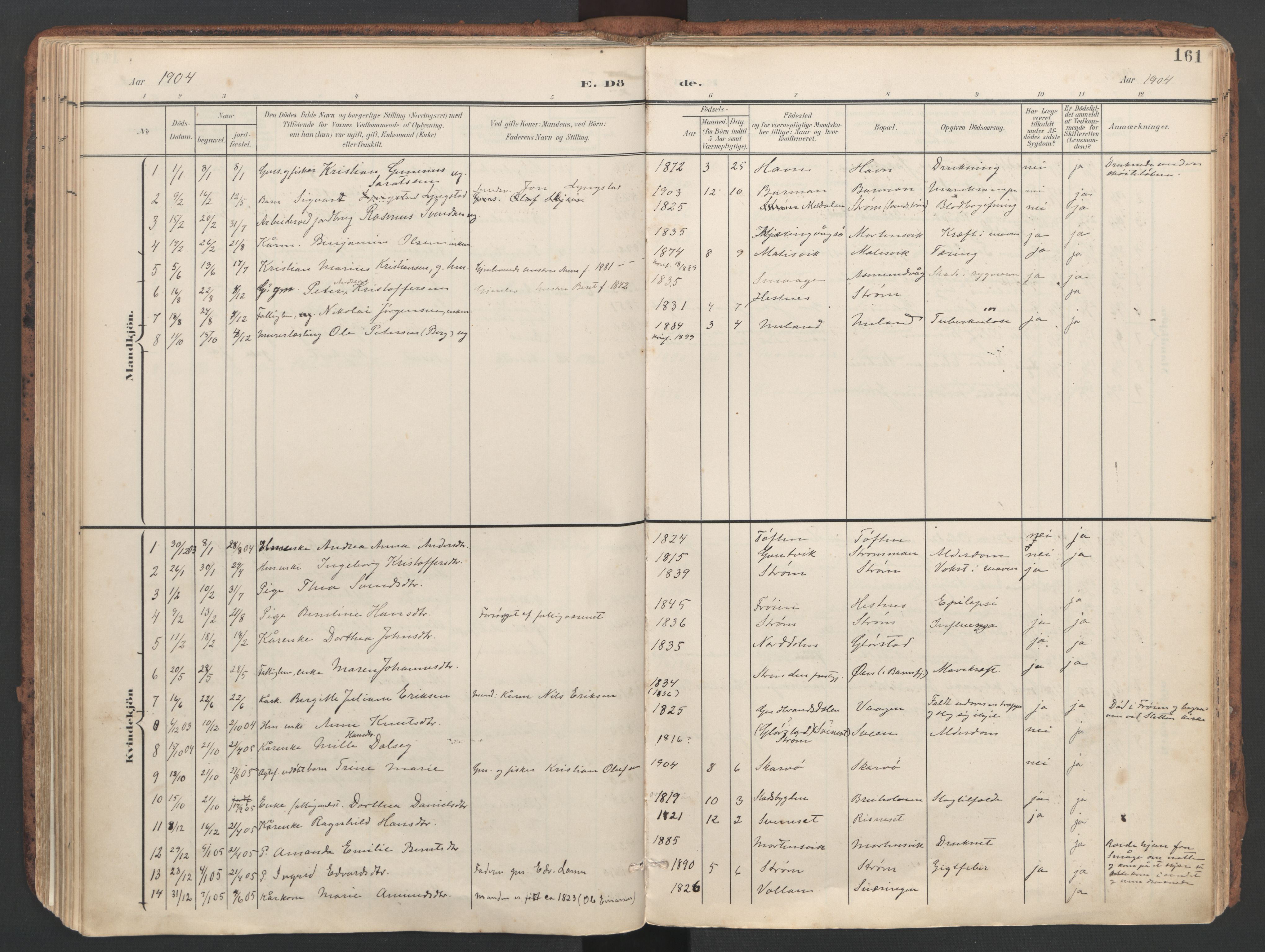 Ministerialprotokoller, klokkerbøker og fødselsregistre - Sør-Trøndelag, SAT/A-1456/634/L0537: Ministerialbok nr. 634A13, 1896-1922, s. 161