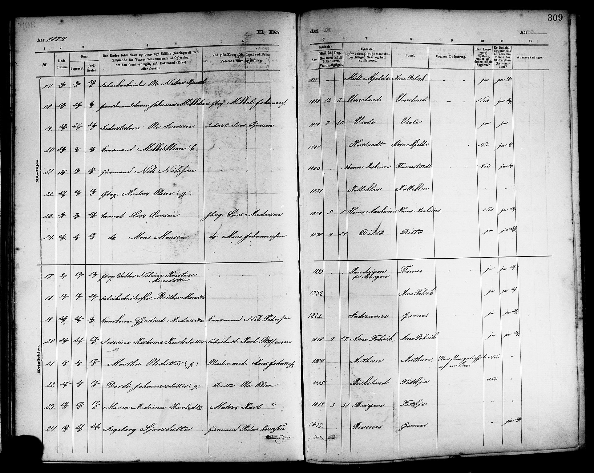 Haus sokneprestembete, AV/SAB-A-75601/H/Haa: Ministerialbok nr. A 19II, 1878-1886, s. 309