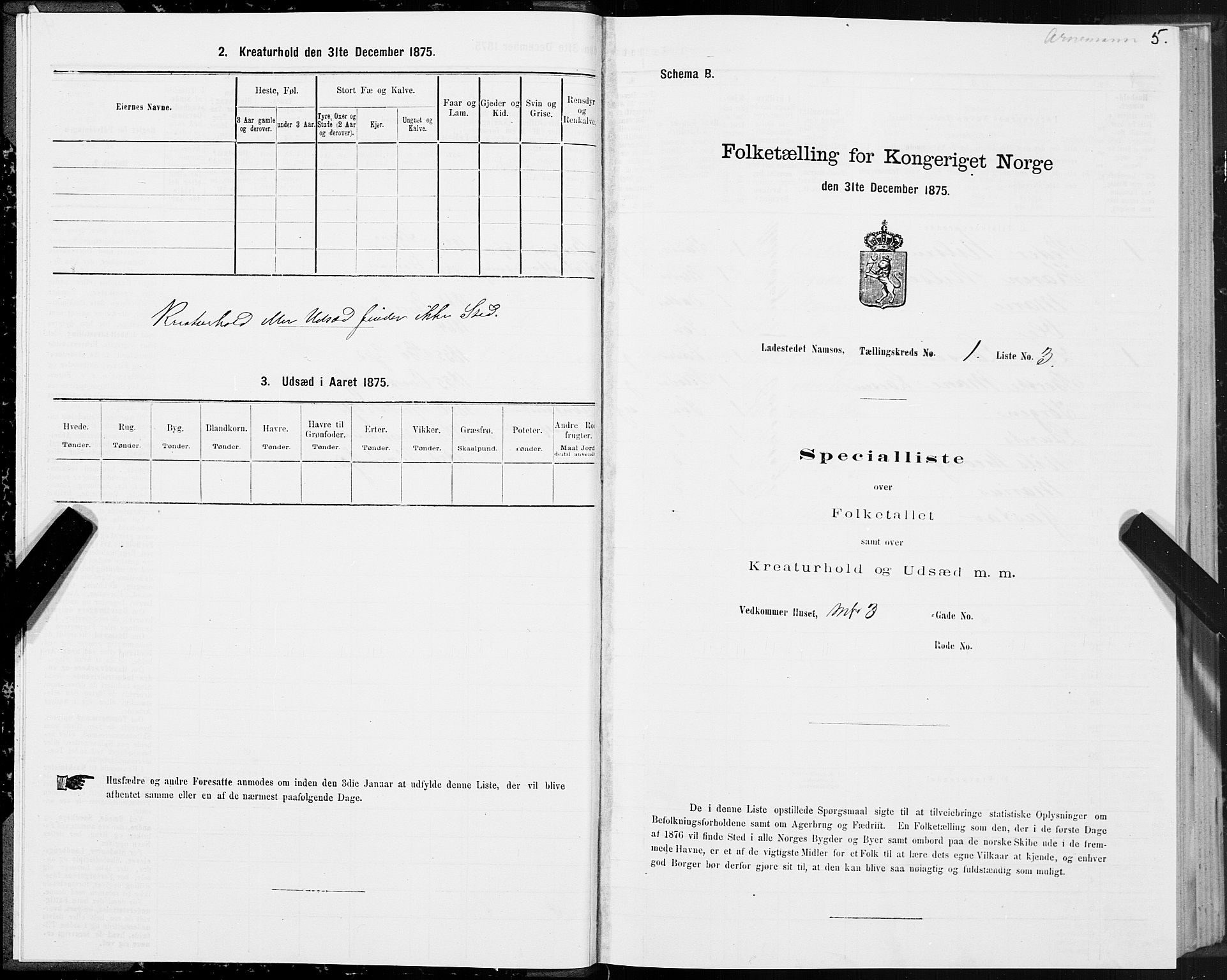 SAT, Folketelling 1875 for 1703B Namsos prestegjeld, Namsos ladested, 1875, s. 5