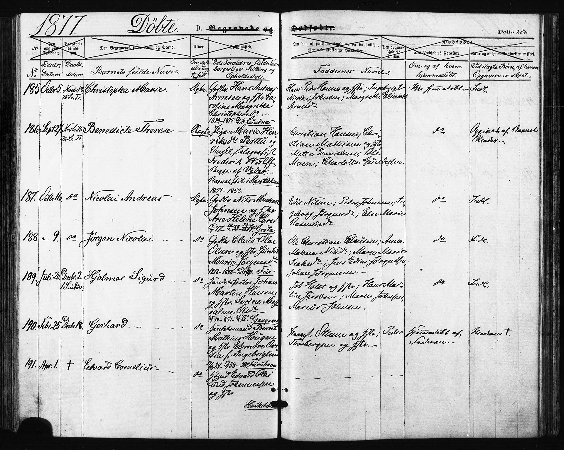 Trondenes sokneprestkontor, SATØ/S-1319/H/Ha/L0013kirke: Ministerialbok nr. 13, 1870-1878, s. 284
