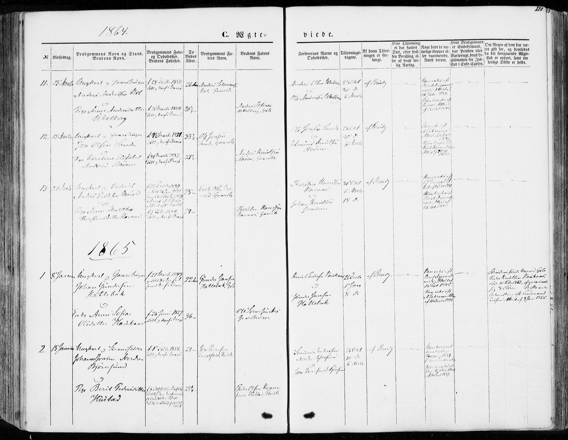 Ministerialprotokoller, klokkerbøker og fødselsregistre - Møre og Romsdal, SAT/A-1454/565/L0748: Ministerialbok nr. 565A02, 1845-1872, s. 220