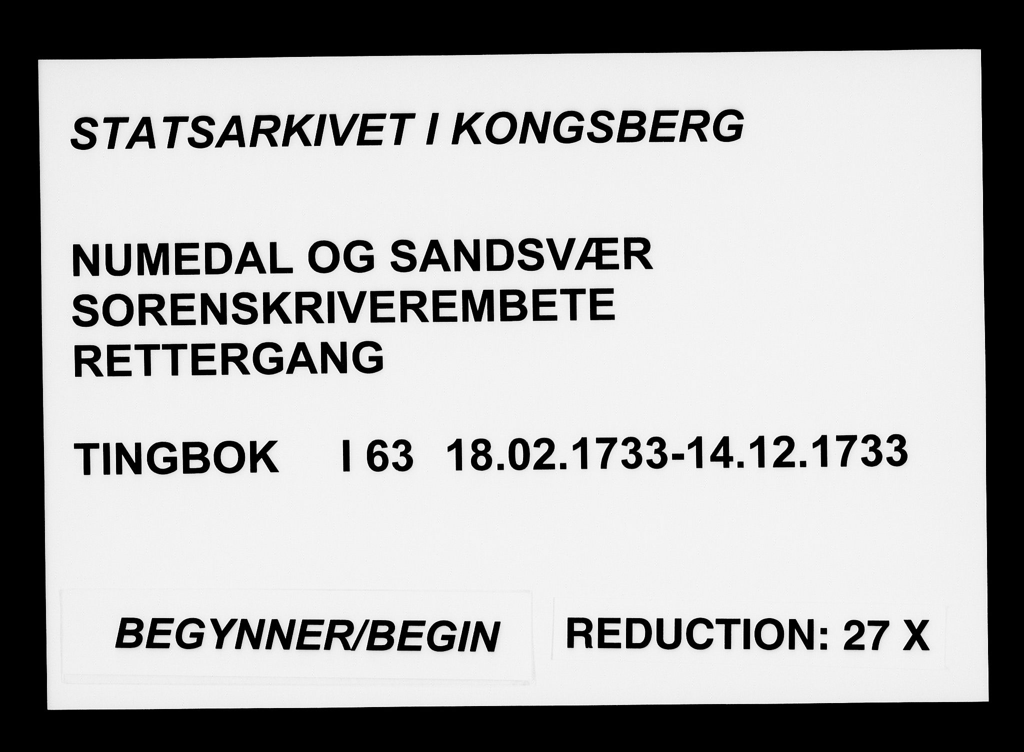 Numedal og Sandsvær sorenskriveri, SAKO/A-128/F/Fa/Faa/L0063: Tingbøker, 1733
