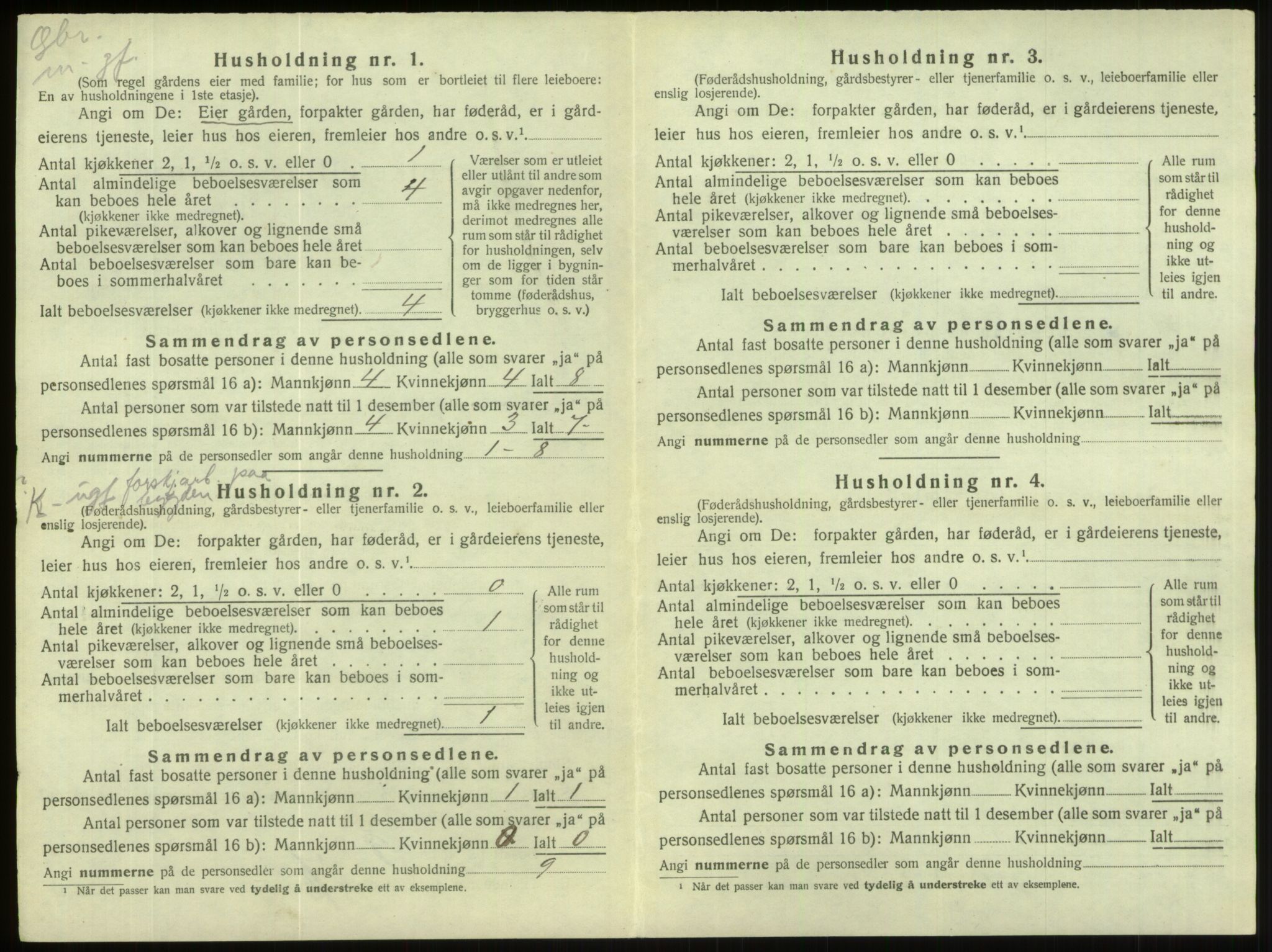 SAB, Folketelling 1920 for 1444 Hornindal herred, 1920, s. 303