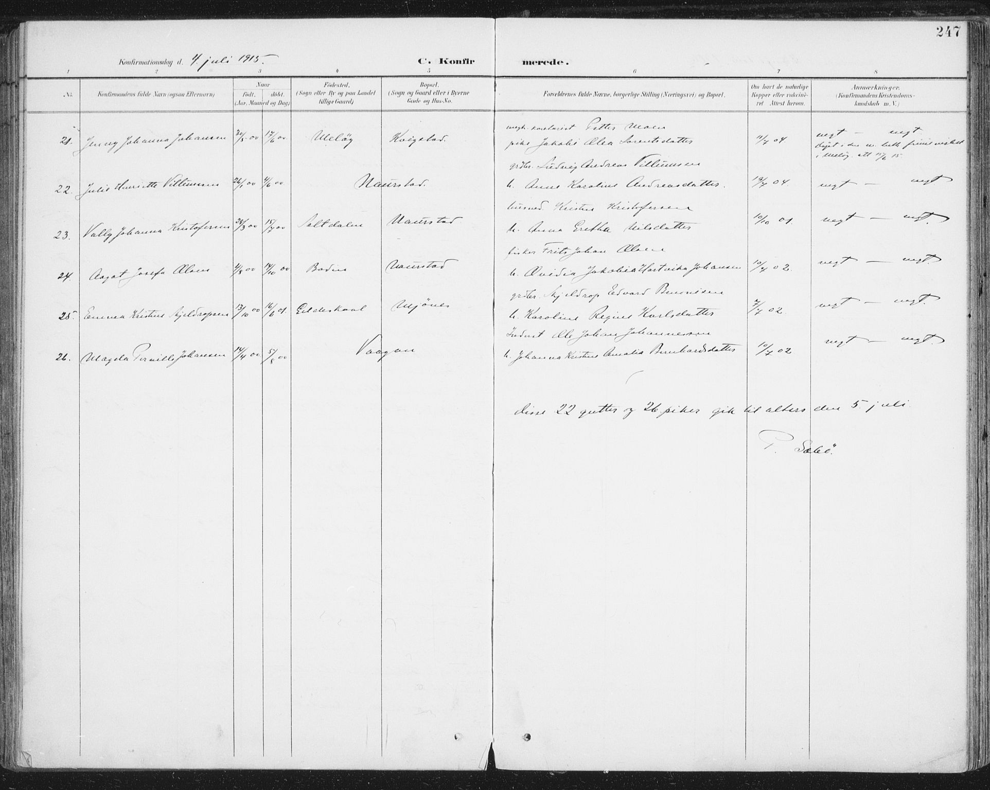 Ministerialprotokoller, klokkerbøker og fødselsregistre - Nordland, AV/SAT-A-1459/852/L0741: Ministerialbok nr. 852A11, 1894-1917, s. 247