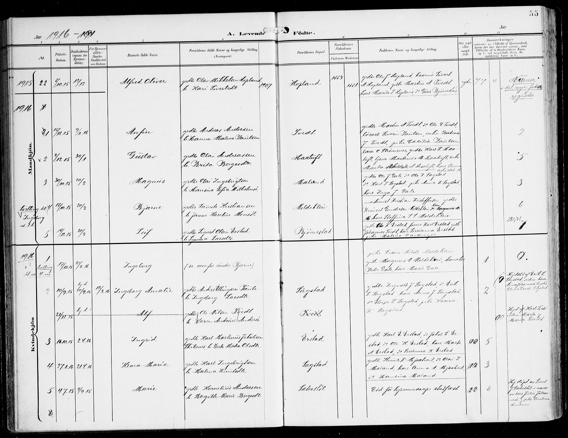 Alversund Sokneprestembete, SAB/A-73901/H/Ha/Haa/Haac/L0002: Ministerialbok nr. C 2, 1901-1921, s. 55