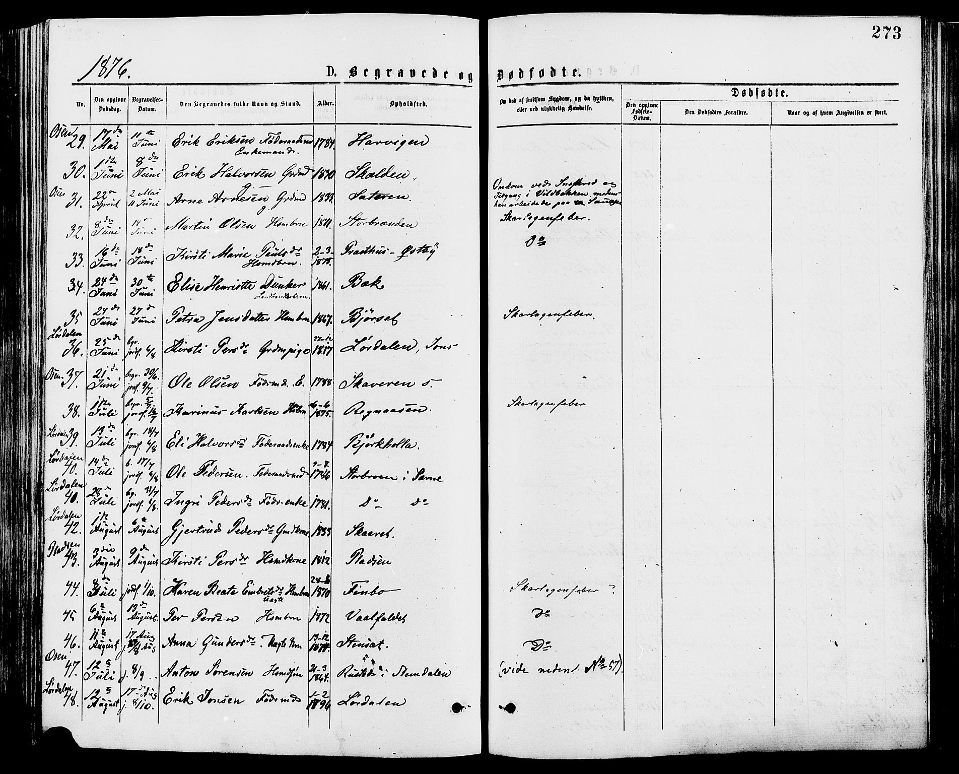 Trysil prestekontor, AV/SAH-PREST-046/H/Ha/Haa/L0007: Ministerialbok nr. 7, 1874-1880, s. 273