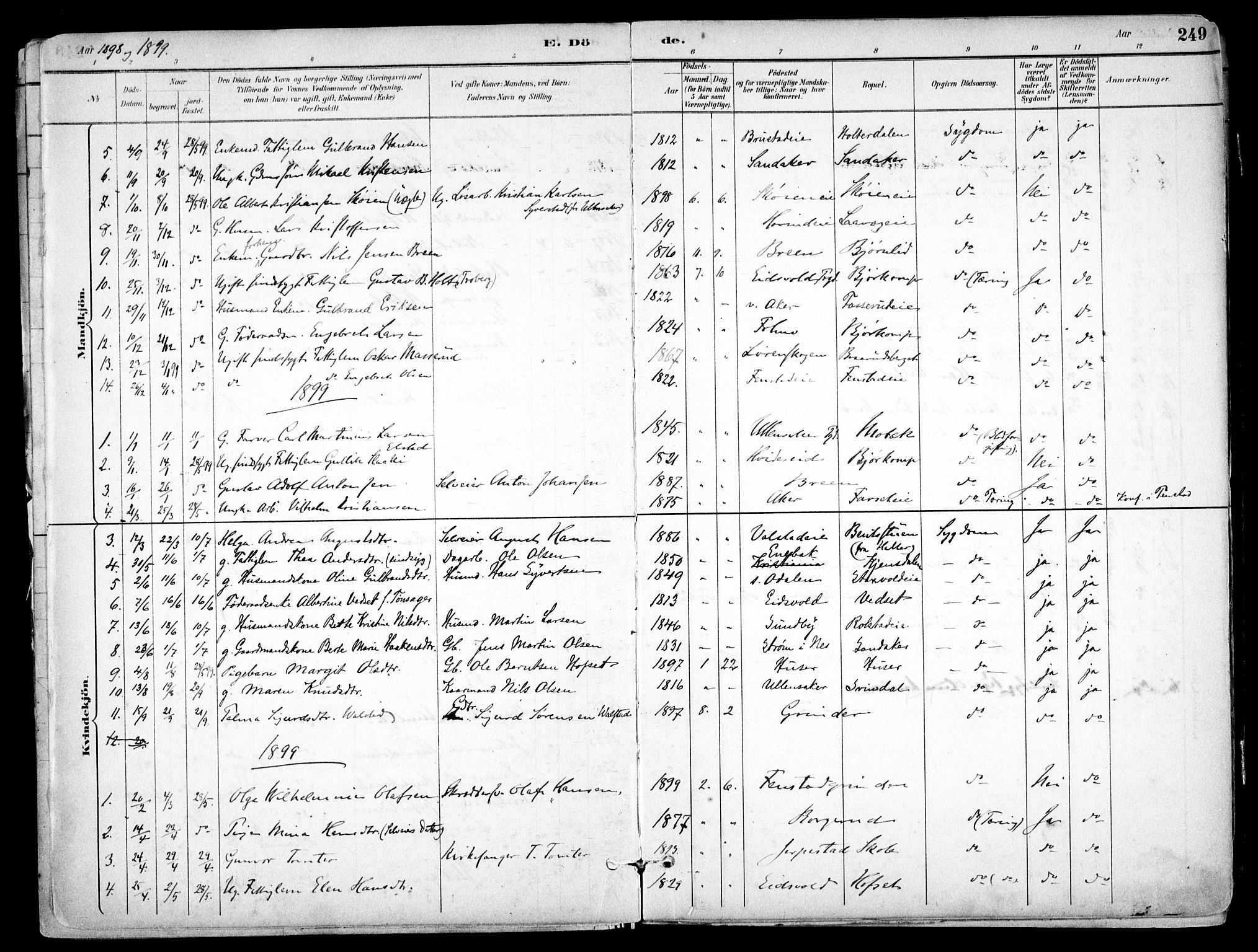 Nes prestekontor Kirkebøker, AV/SAO-A-10410/F/Fb/L0002: Ministerialbok nr. II 2, 1883-1918, s. 249