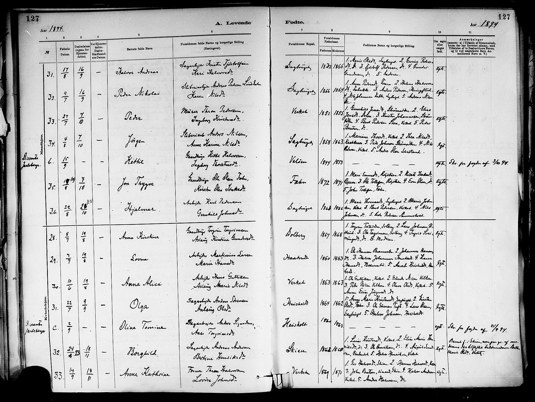 Holla kirkebøker, AV/SAKO-A-272/F/Fa/L0008: Ministerialbok nr. 8, 1882-1897, s. 127