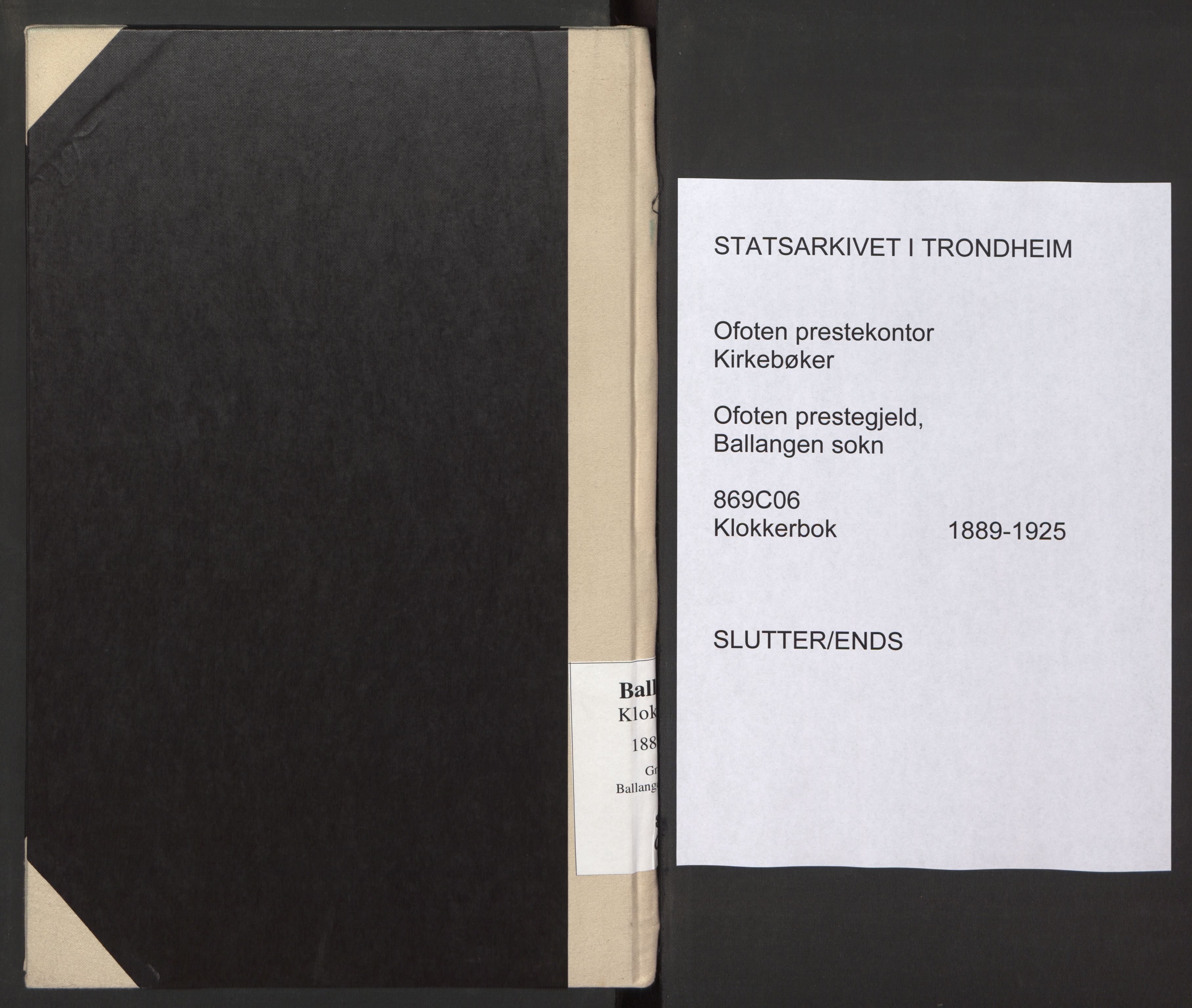 Ministerialprotokoller, klokkerbøker og fødselsregistre - Nordland, AV/SAT-A-1459/869/L0980: Klokkerbok nr. 869C06, 1889-1925