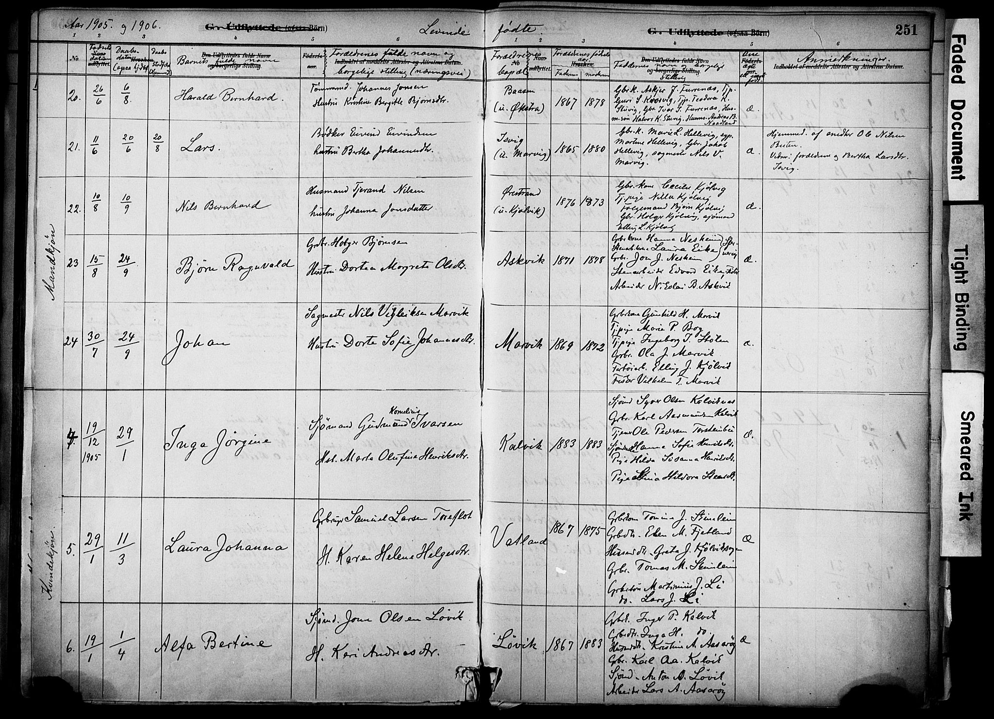 Jelsa sokneprestkontor, AV/SAST-A-101842/01/IV: Ministerialbok nr. A 10, 1884-1906, s. 251