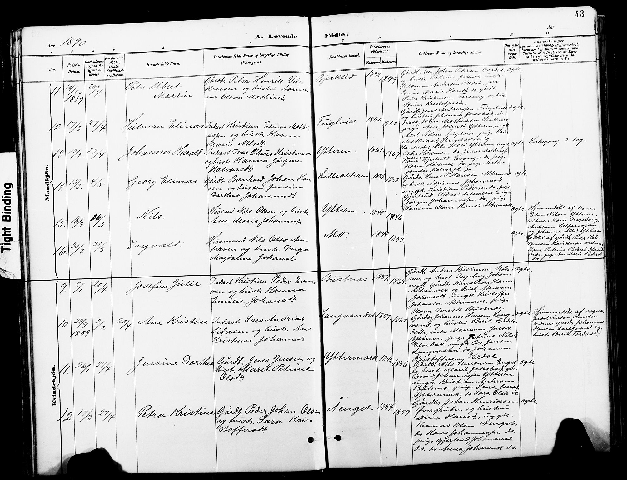 Ministerialprotokoller, klokkerbøker og fødselsregistre - Nordland, SAT/A-1459/827/L0421: Klokkerbok nr. 827C10, 1887-1906, s. 43